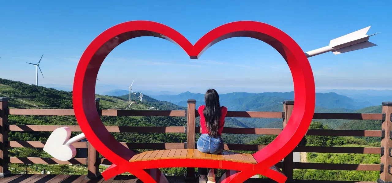6월 은하수와 샤스타 데이지, 평창가볼만한곳 육백마지기 차박 후기 대표 이미지