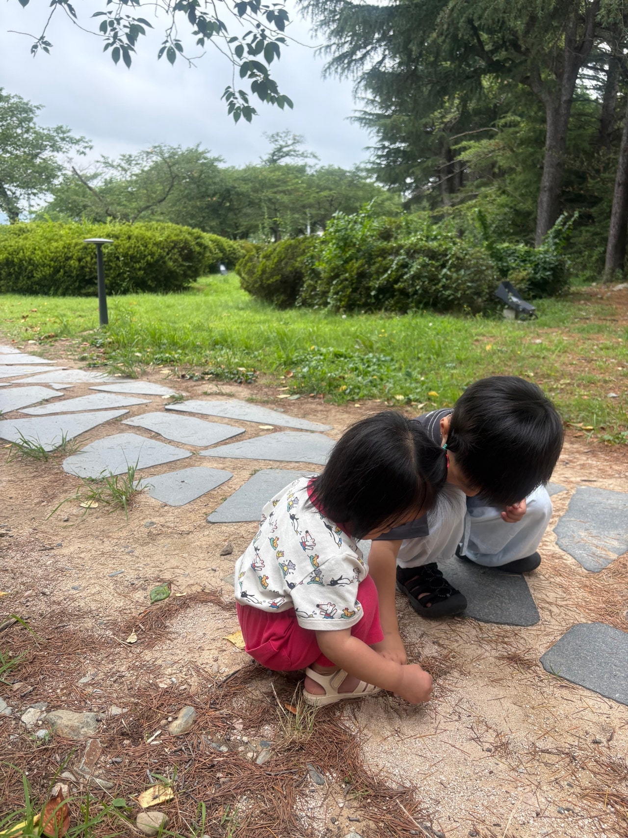 경주 힐튼 아이랑 호캉스 후기(수영장, 조식, 안녕경주야)