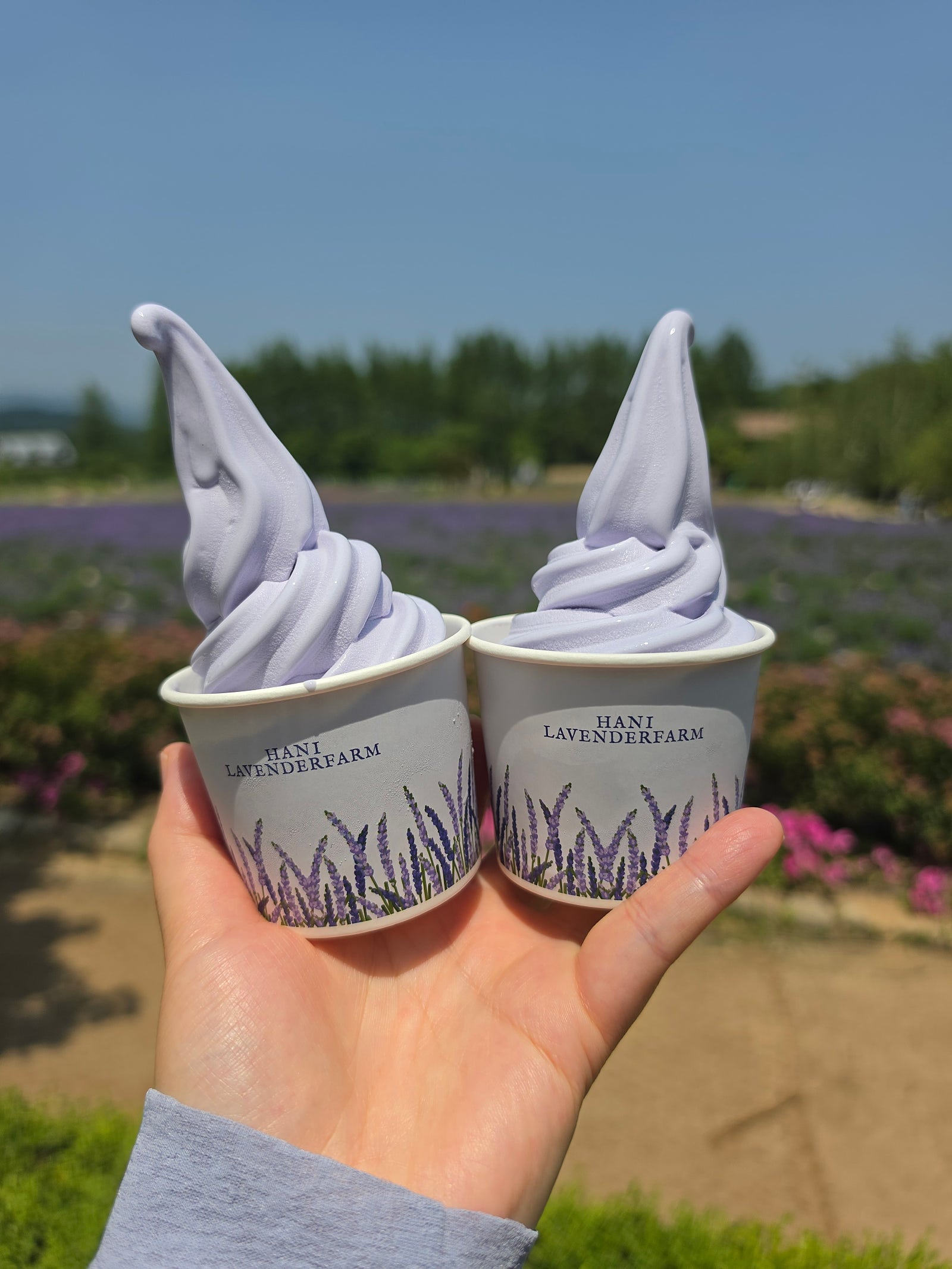 오랜만에 2박3일 고성&양양여행