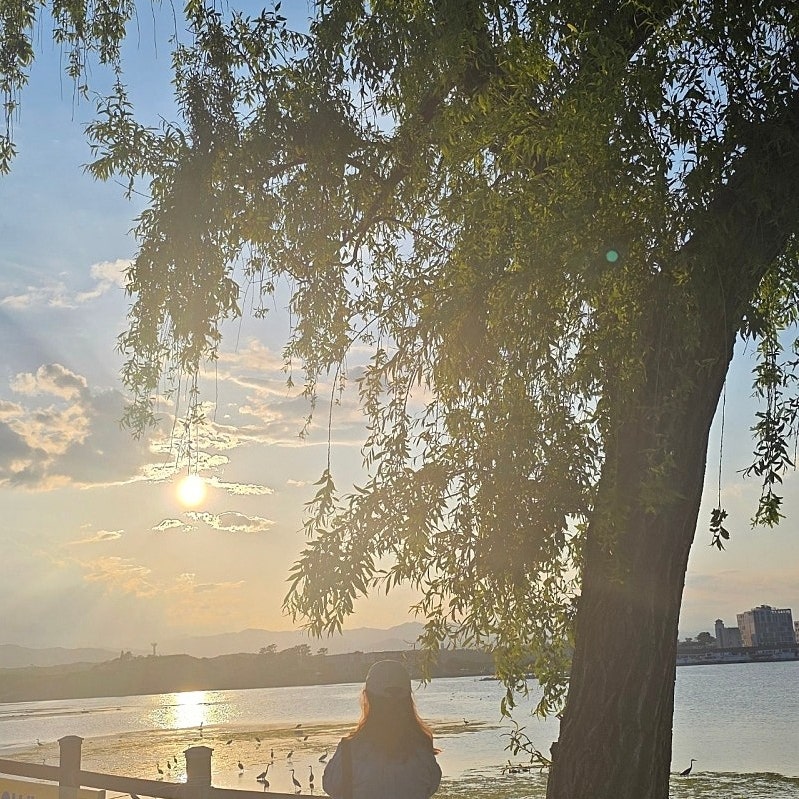 [강릉 3박4일] 부부의 낭만 투어& 무료 커피보트 예매 꿀팁 🌌🛶