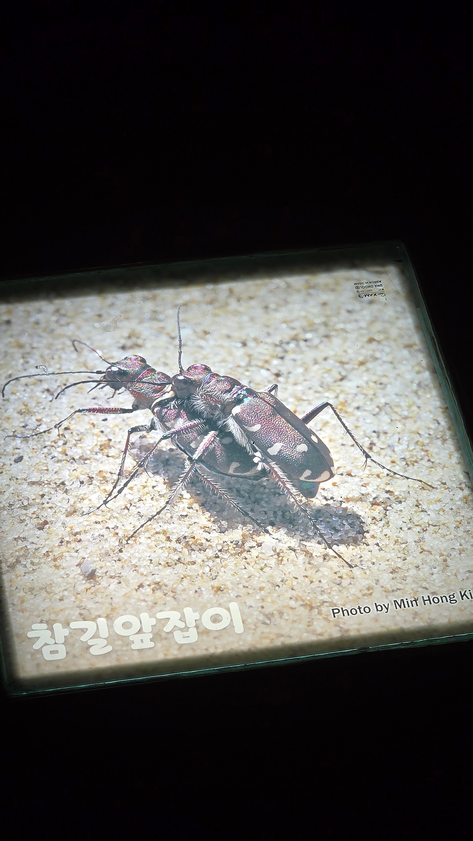 무진장 가보고 싶었습니다. - 전북 무진장 여행