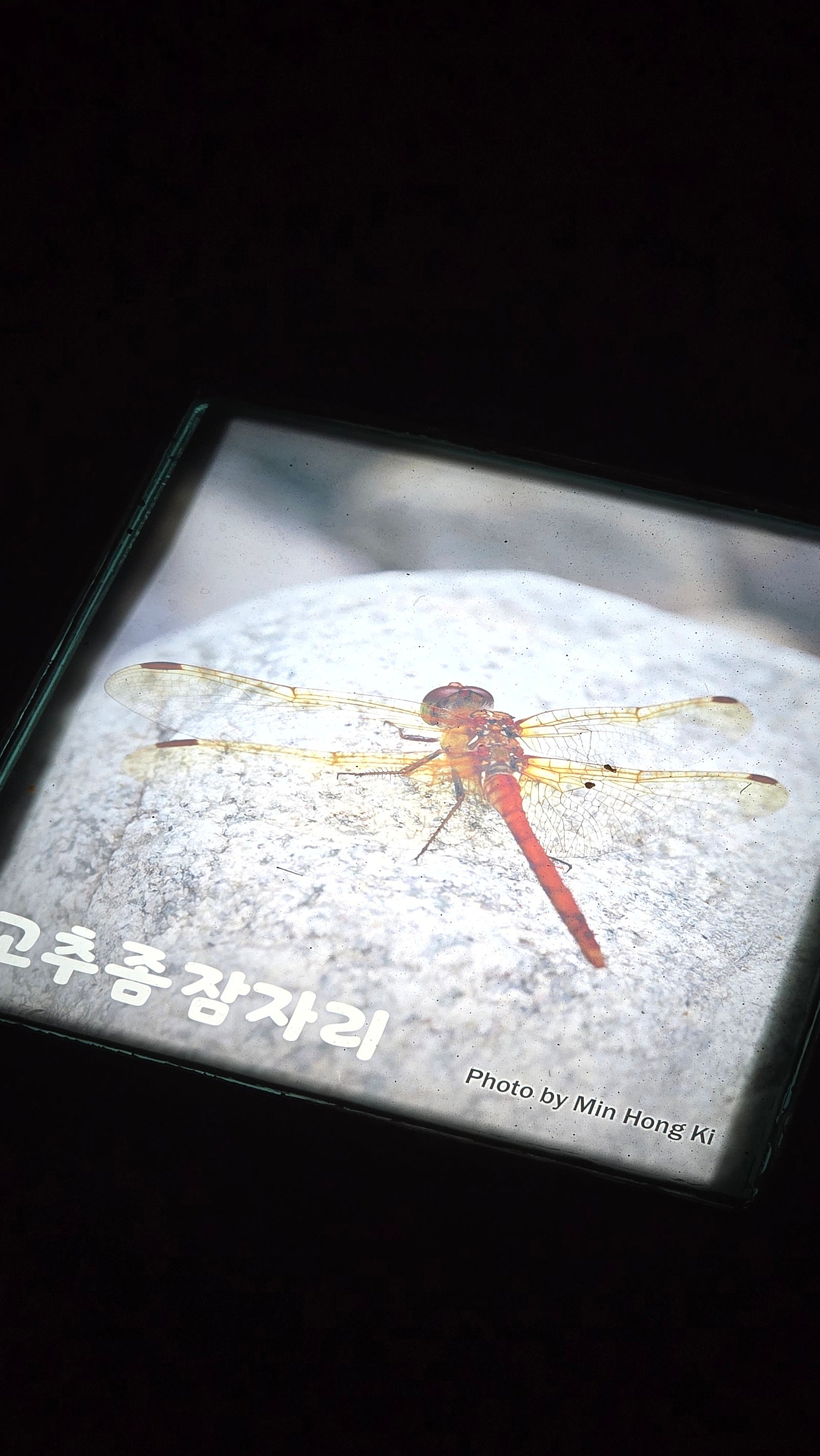 무진장 가보고 싶었습니다. - 전북 무진장 여행