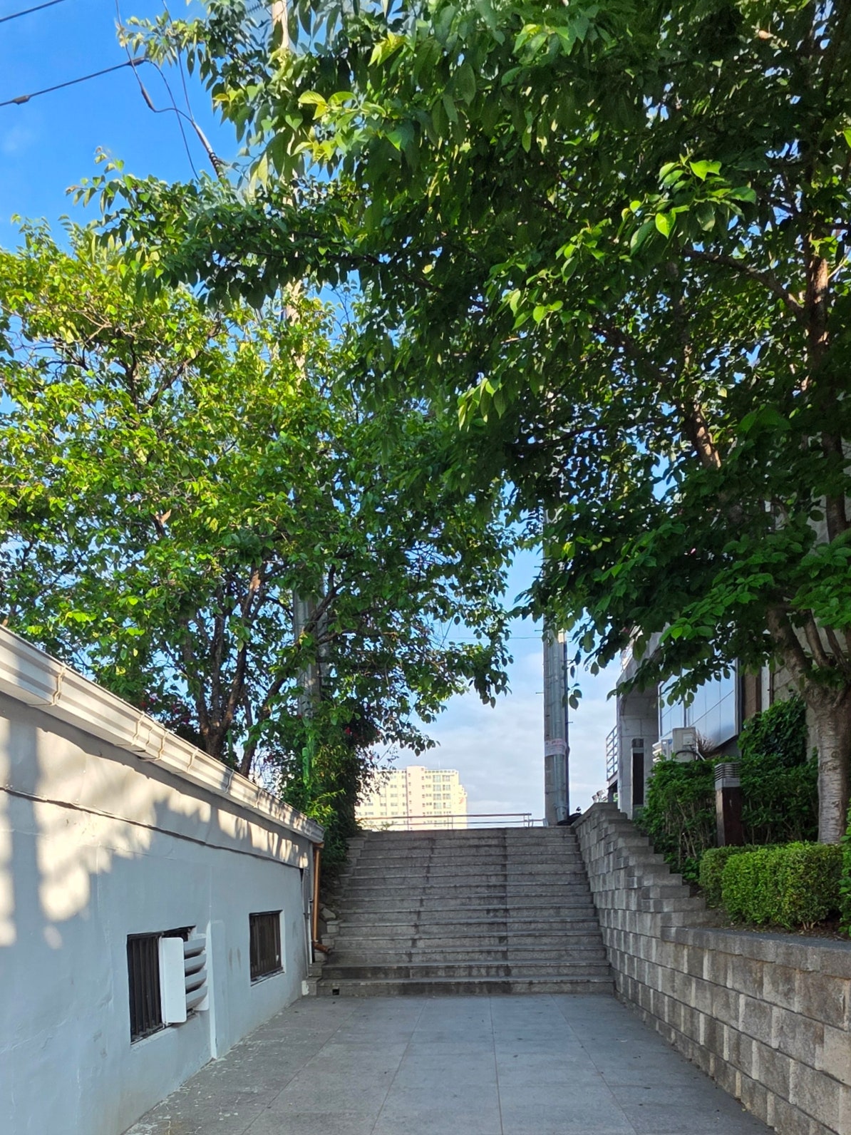 [강릉 3박4일] 부부의 낭만 투어& 무료 커피보트 예매 꿀팁 🌌🛶