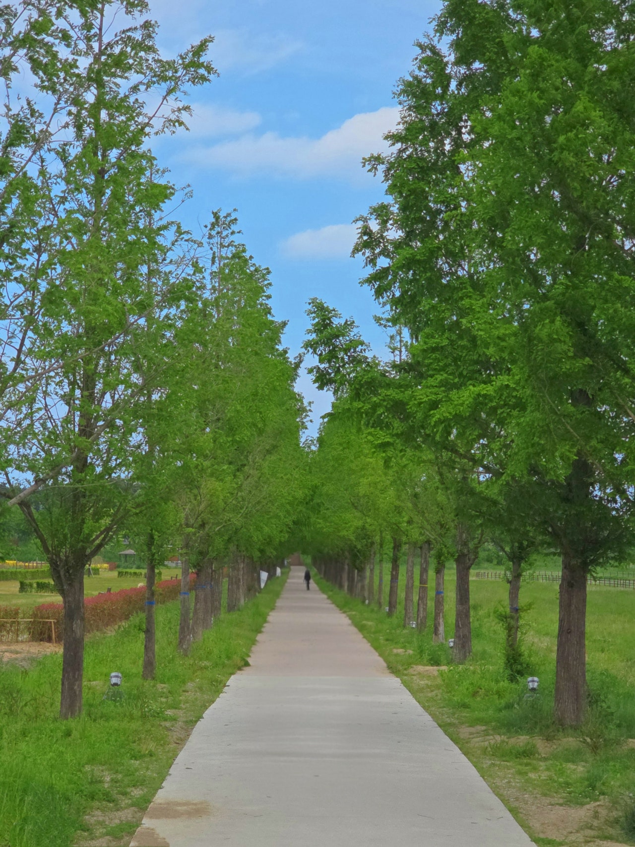 [강릉 3박4일] 부부의 낭만 투어& 무료 커피보트 예매 꿀팁 🌌🛶