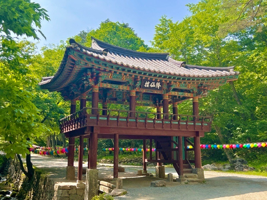 한 달 전부터 준비한 효도여행 🌊 여수-순천 1박 2일 여행일기
