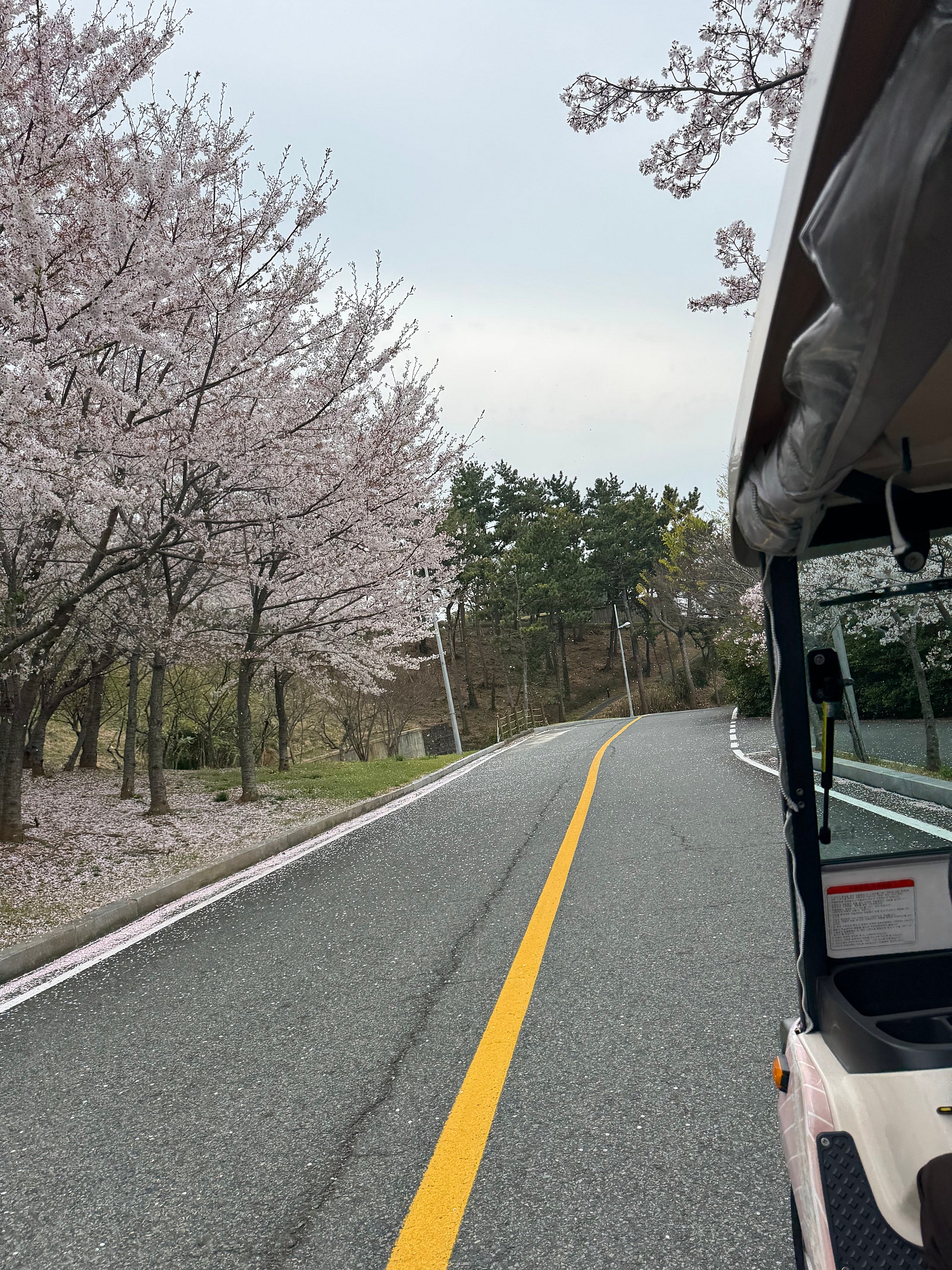 부모님 모시고 떠난 남해·전주 여행 🚗