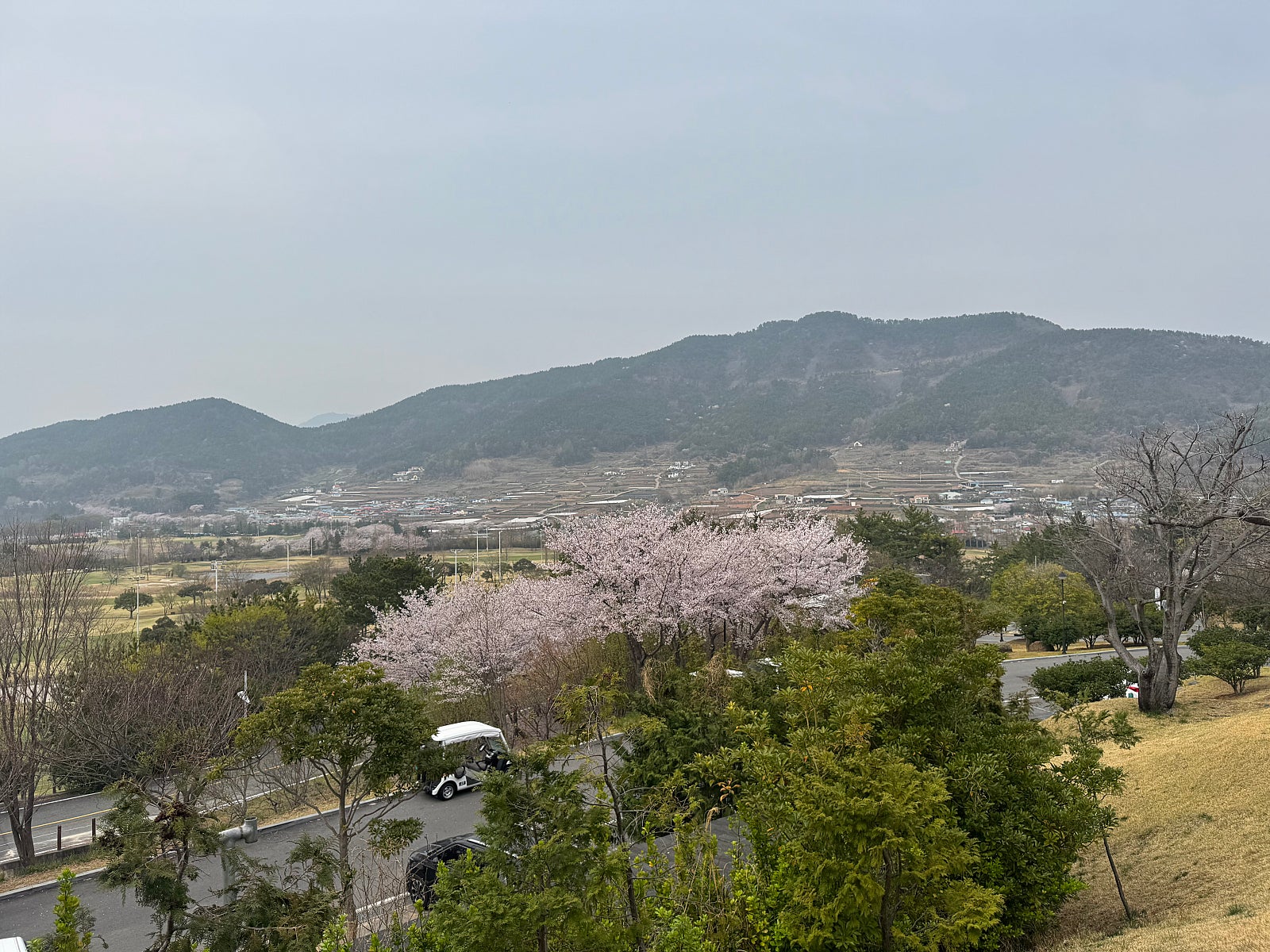 부모님 모시고 떠난 남해·전주 여행 🚗
