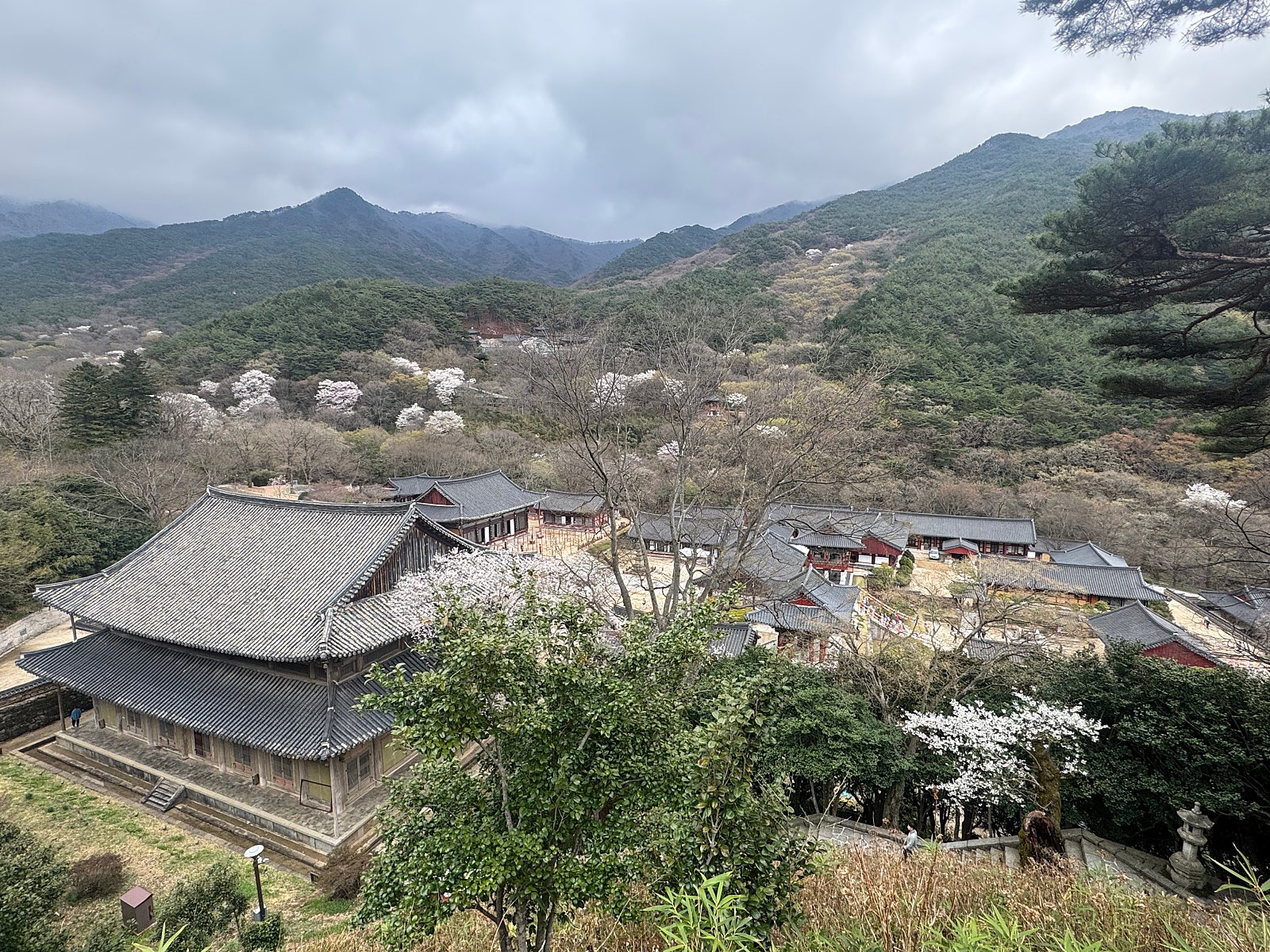 부모님 모시고 떠난 남해·전주 여행 🚗