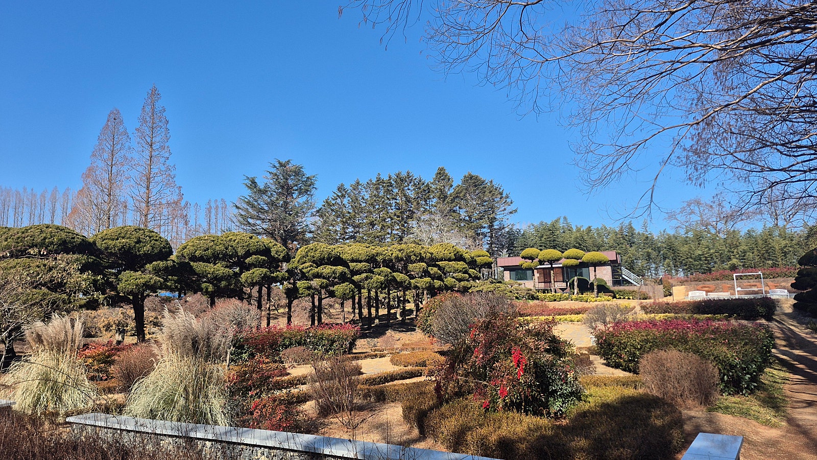 공주 잠깐 찍고 방문한 익산 유람기(feat.출장)