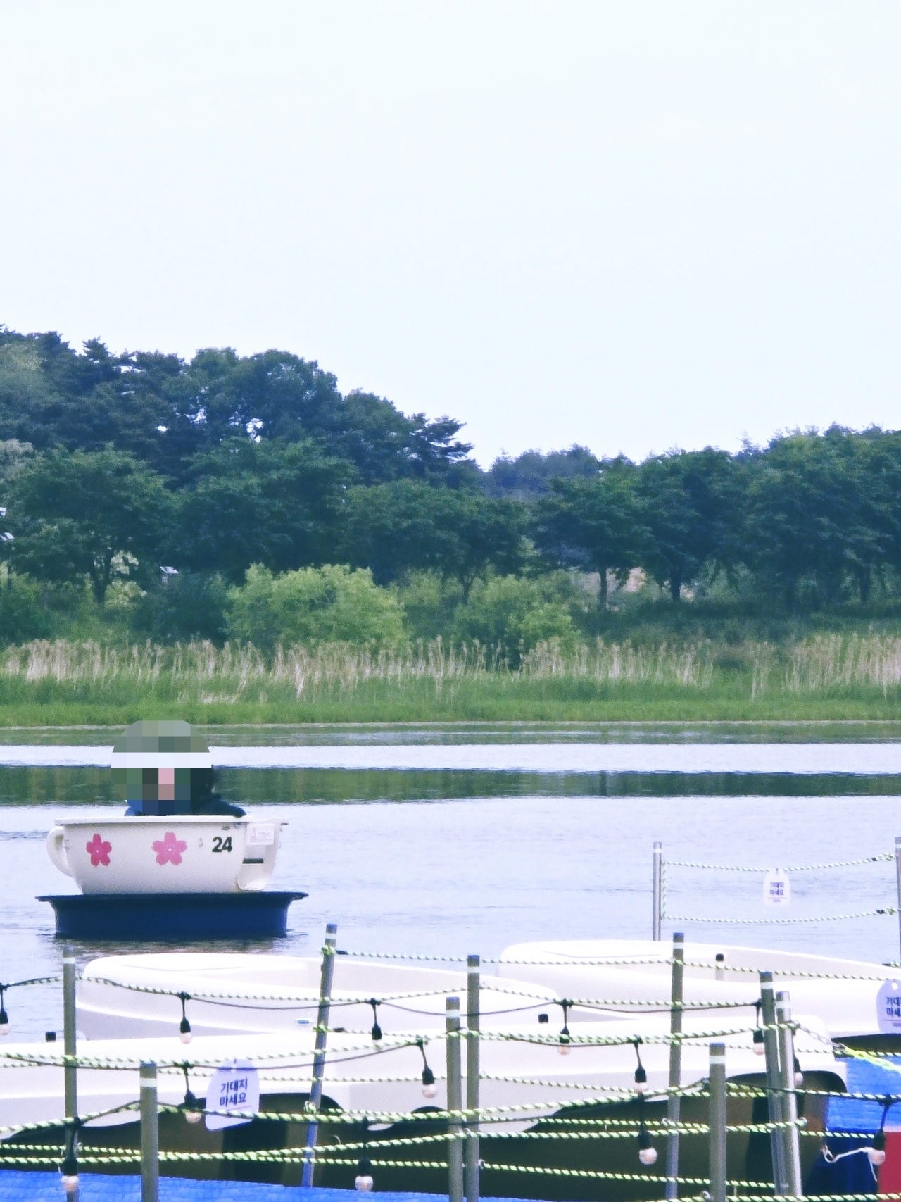 [강릉 3박4일] 부부의 낭만 투어& 무료 커피보트 예매 꿀팁 🌌🛶