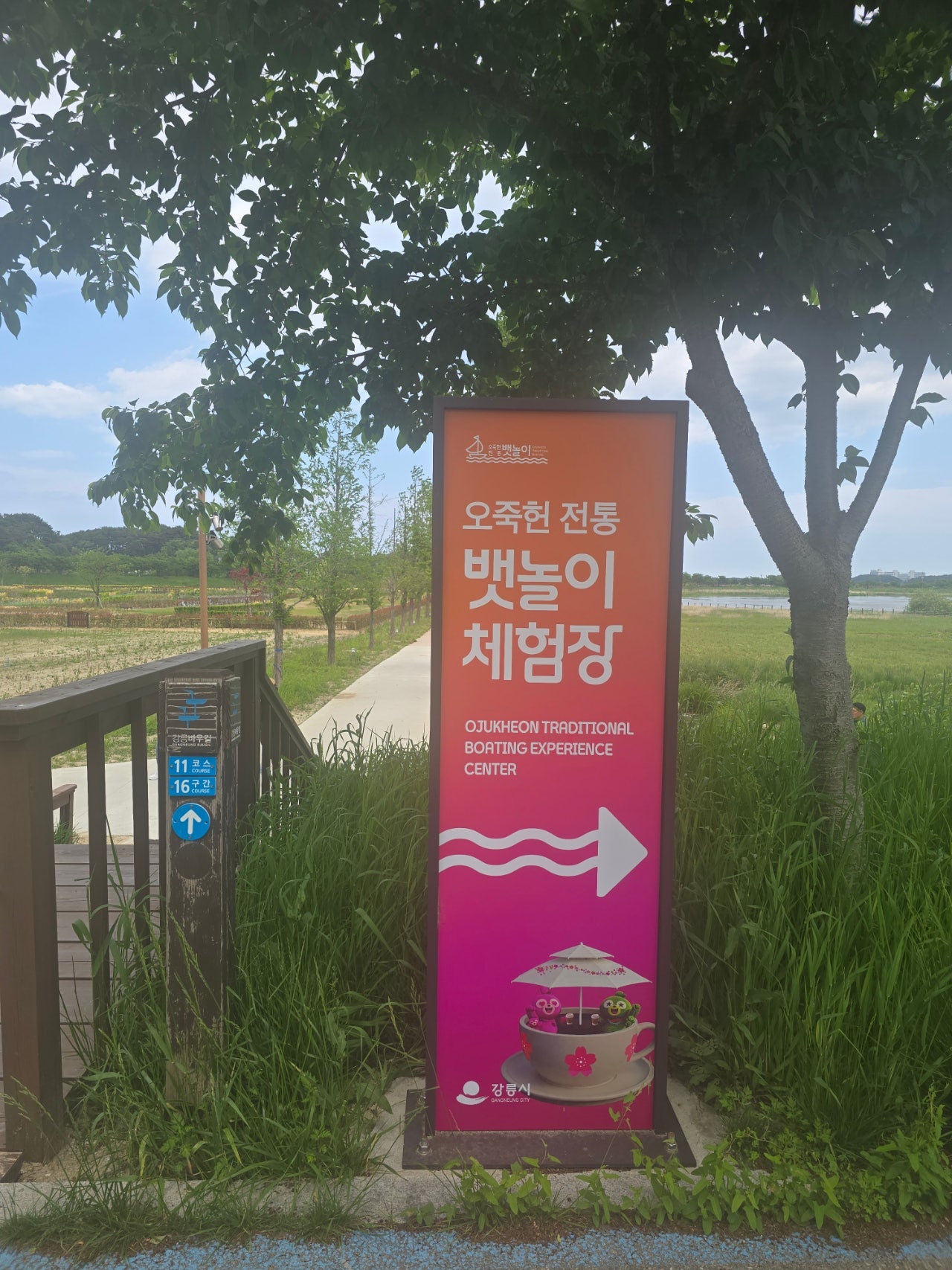 [강릉 3박4일] 부부의 낭만 투어& 무료 커피보트 예매 꿀팁 🌌🛶