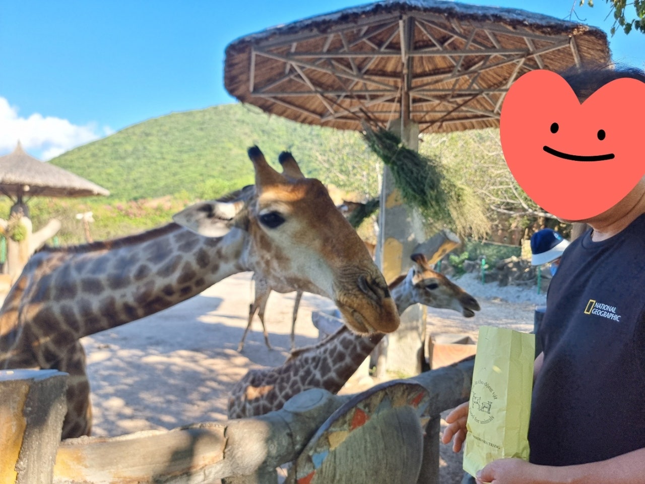 가족여행♡으로 나트랑 지대로뿌시고온 빈원더스 총정리 3일차