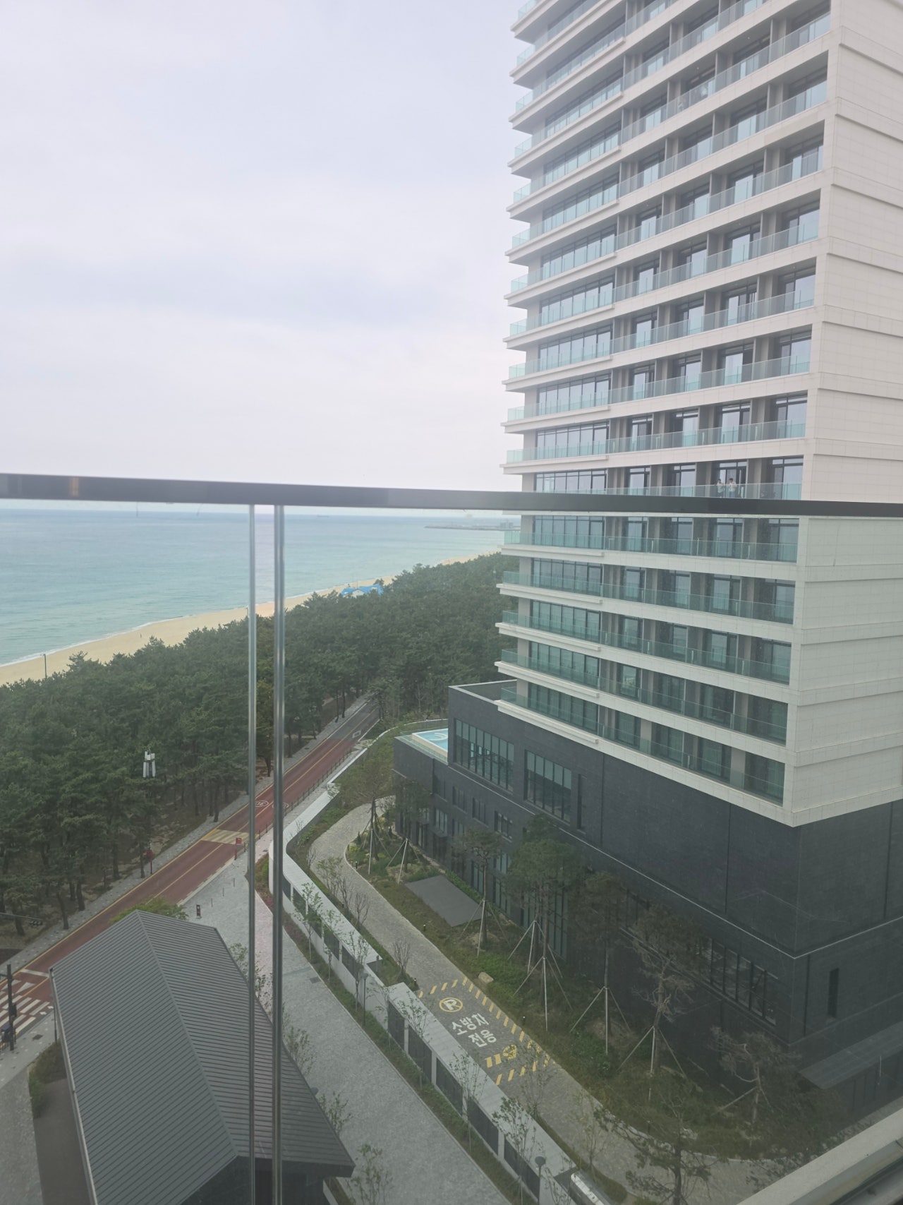 [강릉 3박4일] 부부의 낭만 투어& 무료 커피보트 예매 꿀팁 🌌🛶