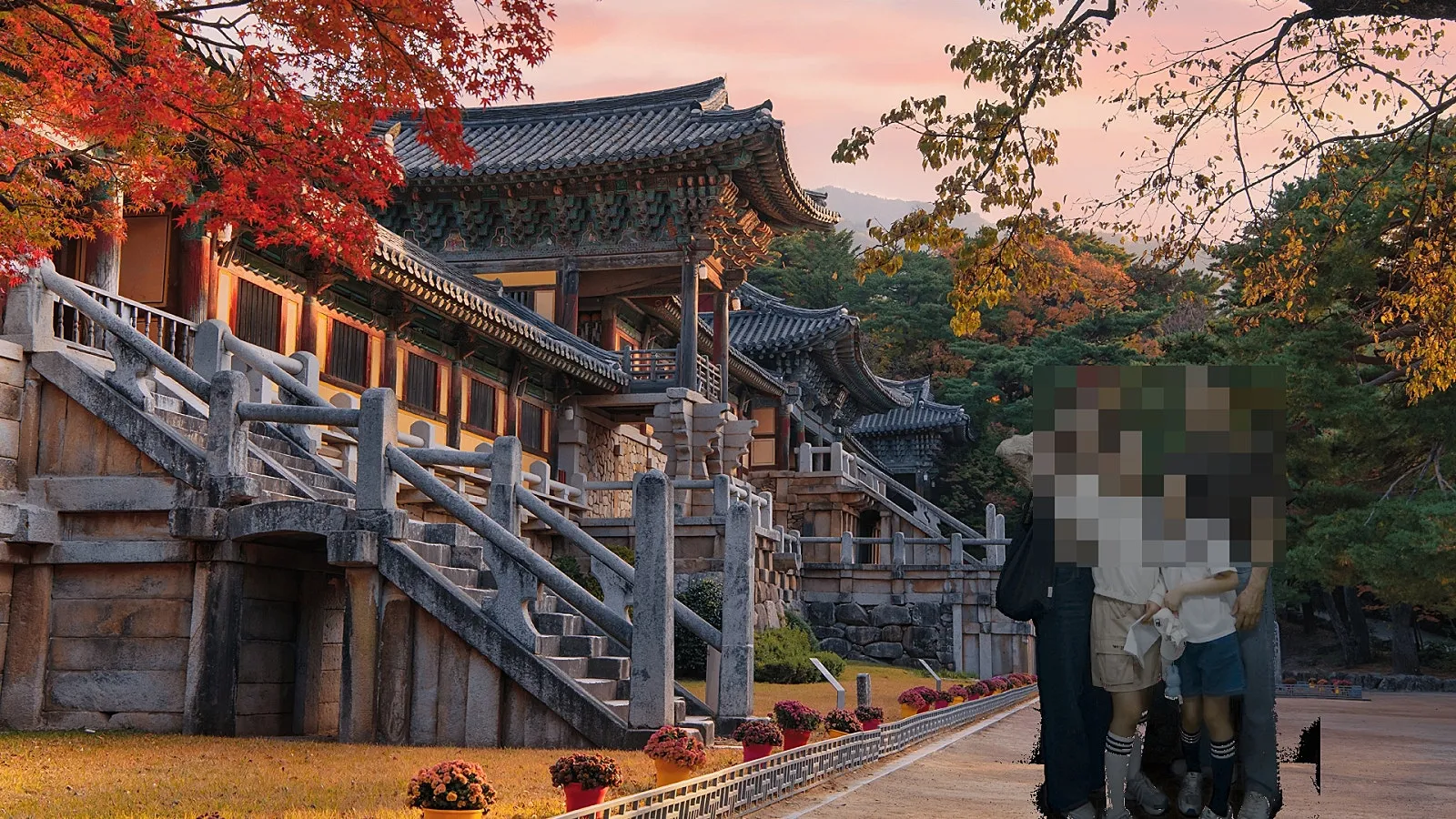 국립경주박물관과 금관총, 아이와 함께하는 경주 역사 여행 대표 이미지