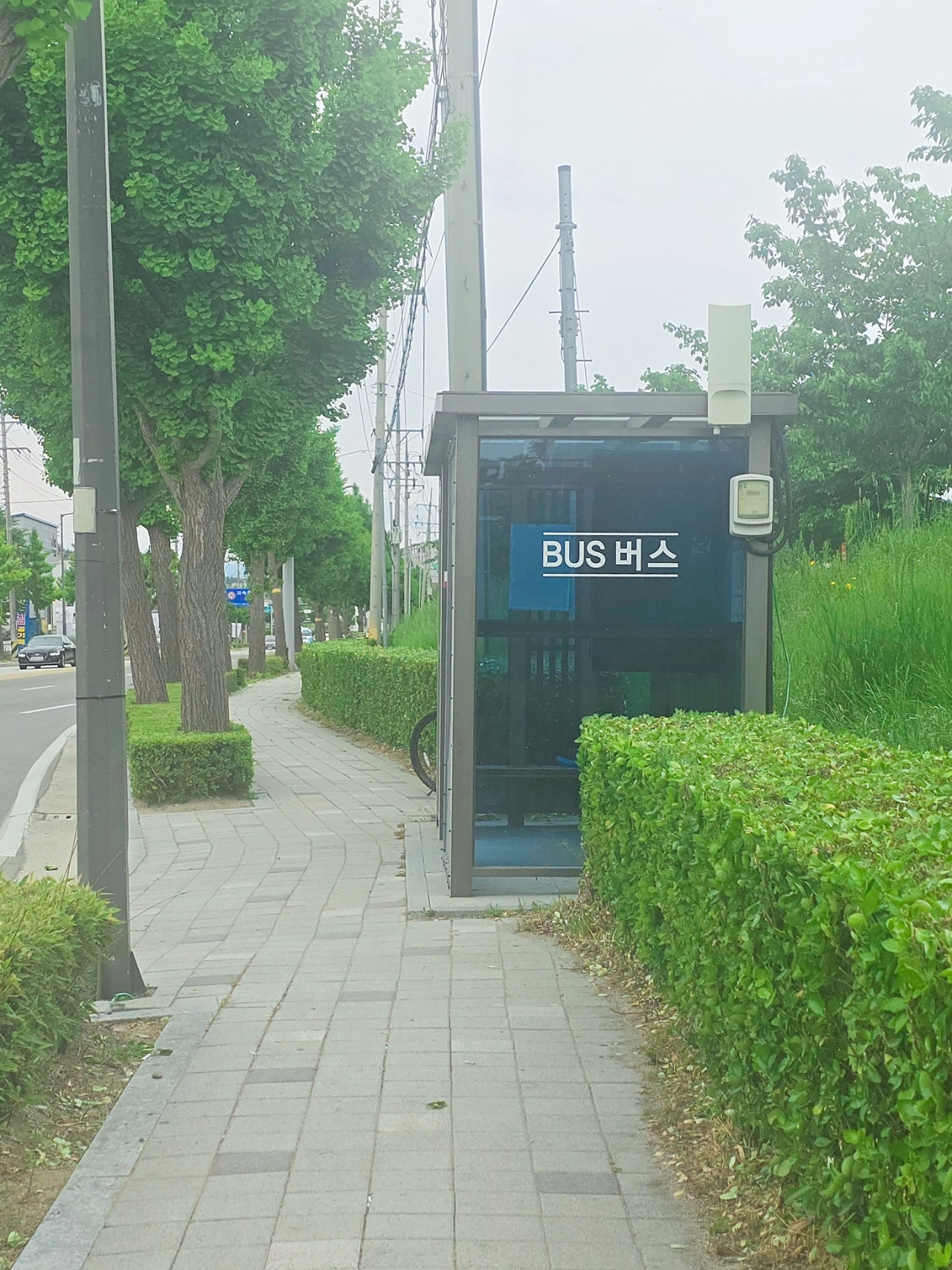 [강릉 3박4일] 부부의 낭만 투어& 무료 커피보트 예매 꿀팁 🌌🛶