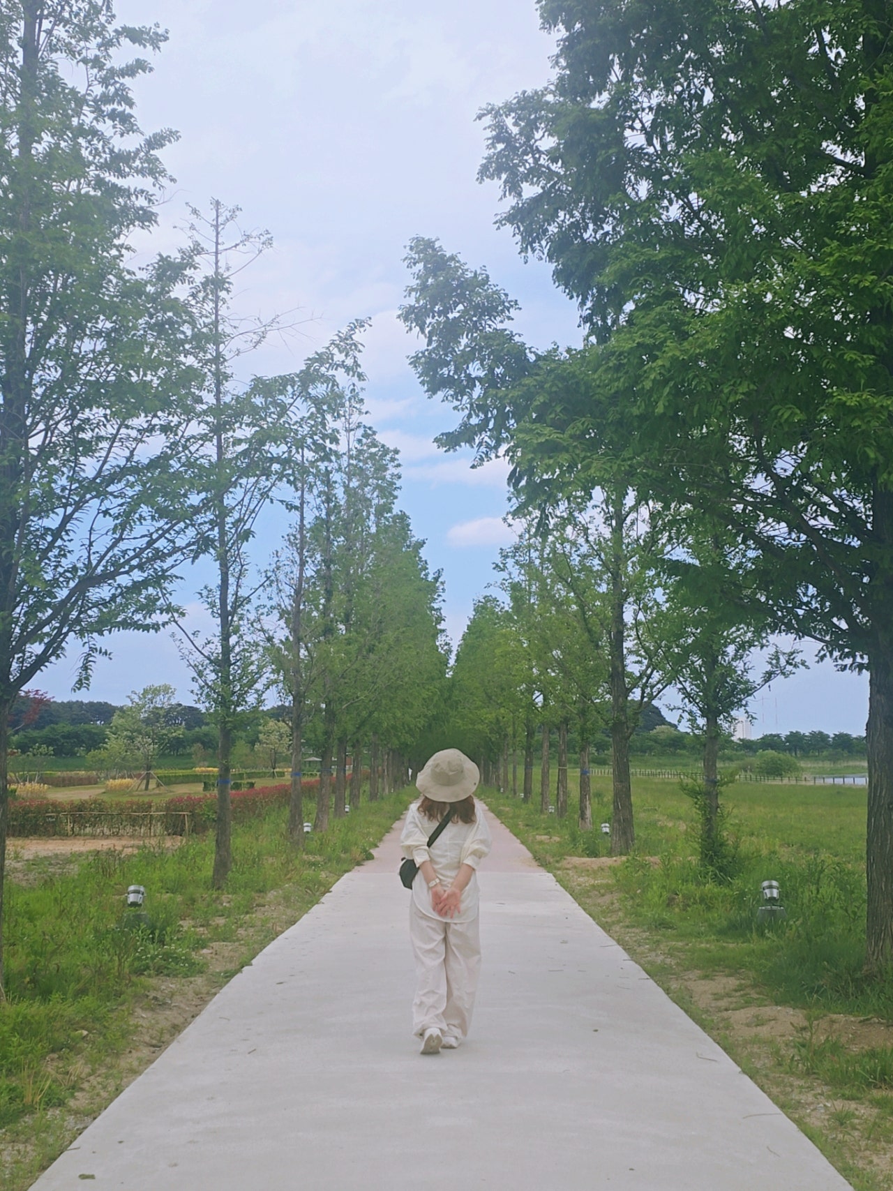 [강릉 3박4일] 부부의 낭만 투어& 무료 커피보트 예매 꿀팁 🌌🛶