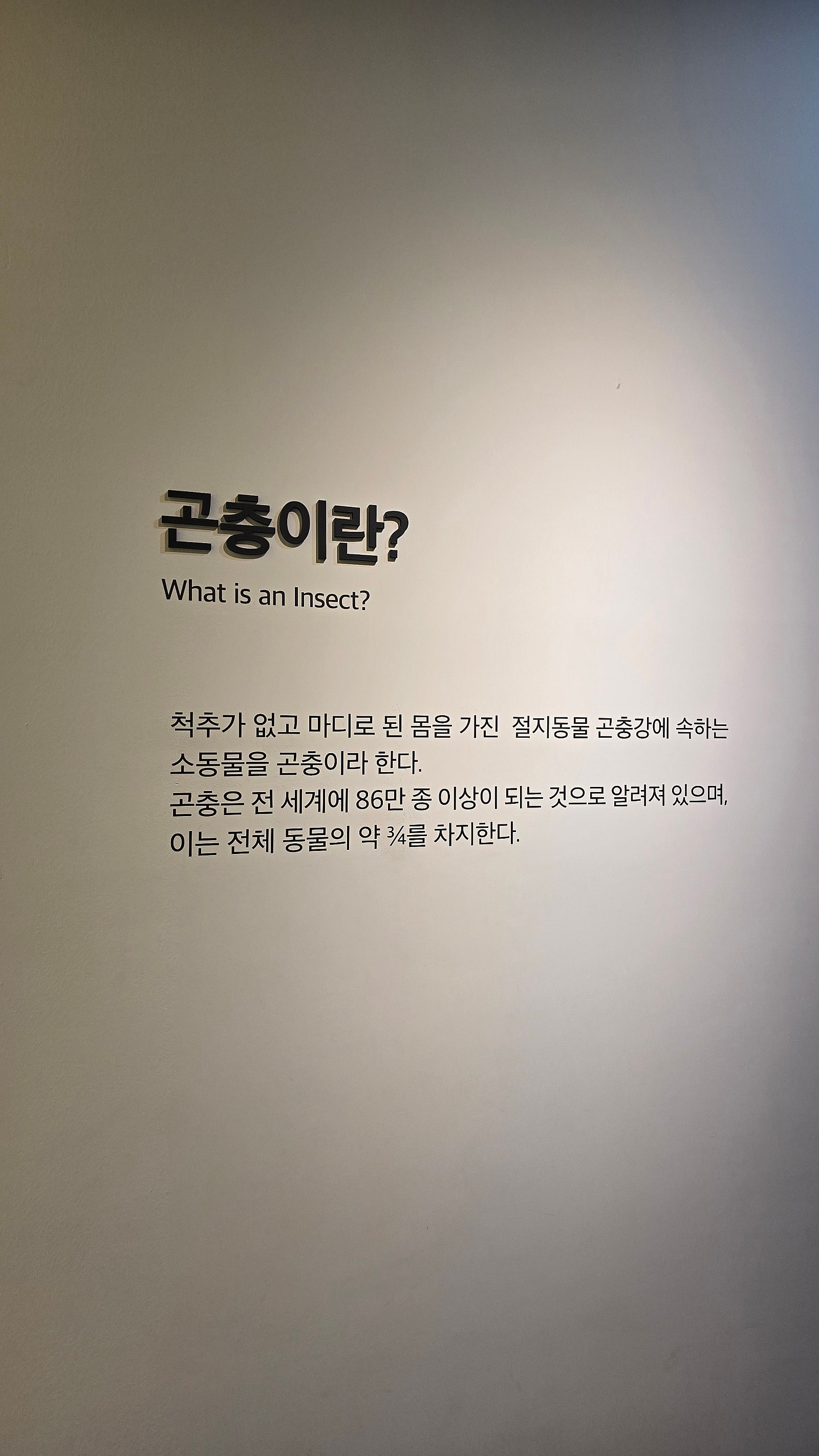 무진장 가보고 싶었습니다. - 전북 무진장 여행