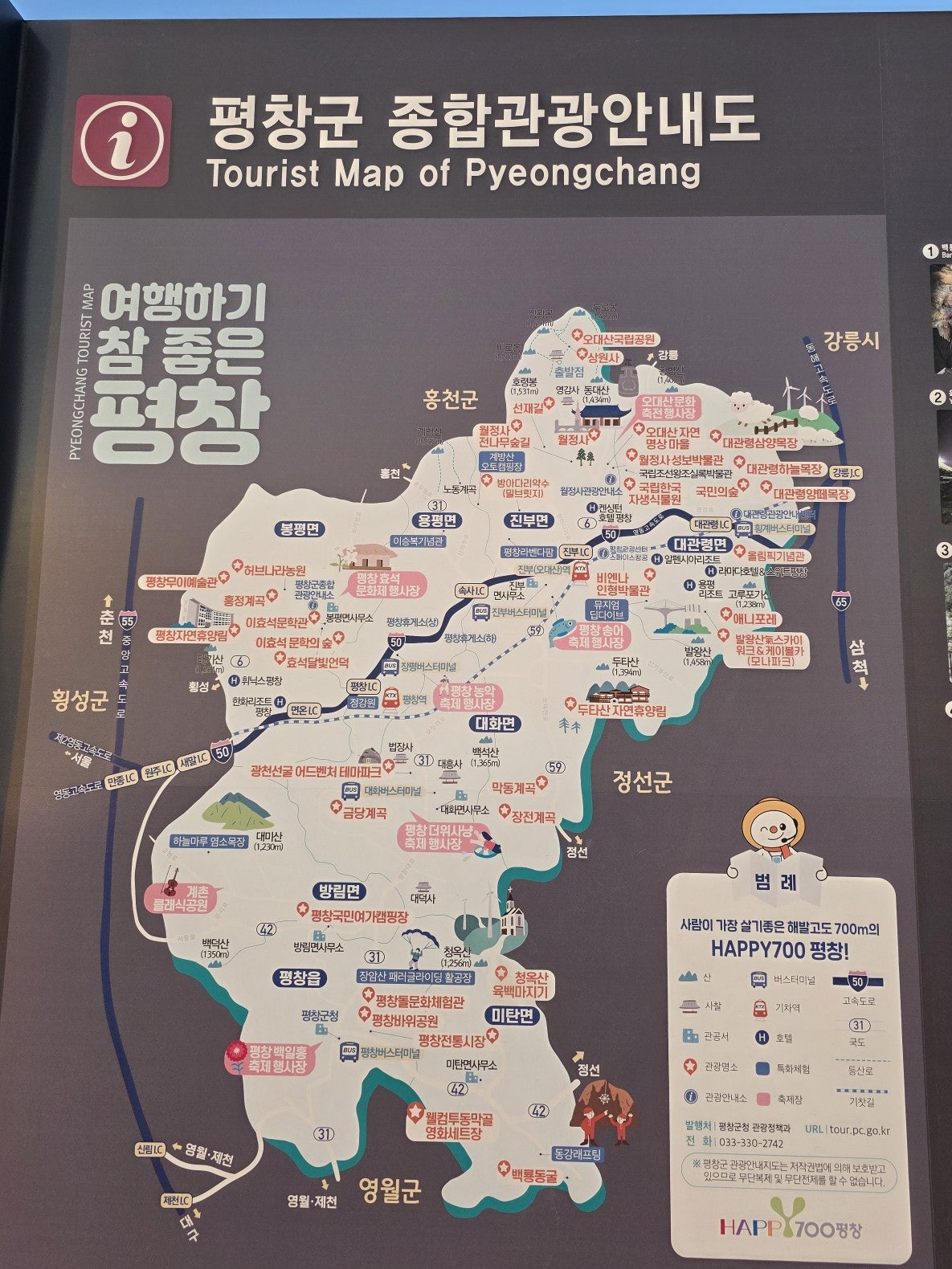 [강릉 3박4일] 부부의 낭만 투어& 무료 커피보트 예매 꿀팁 🌌🛶
