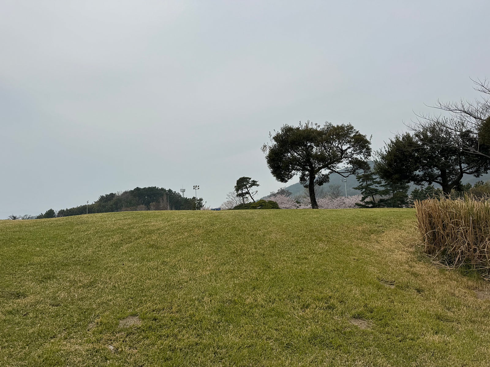 부모님 모시고 떠난 남해·전주 여행 🚗