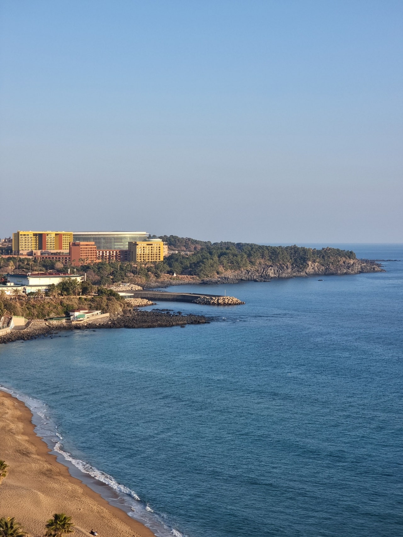 제주도에서 봄을만끽해야쥥 가성비호텔 에어시티호텔 이자카야 미묘, 어머니빵집, 이스방한상, 용두암,제주신라호텔 1.2일차