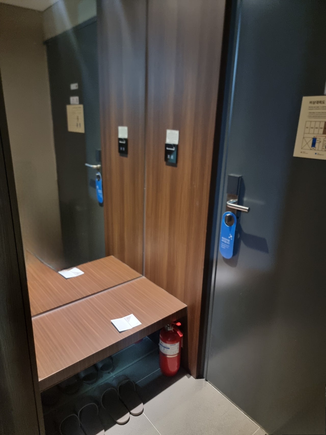 제주도에서 봄을만끽해야쥥 가성비호텔 에어시티호텔 이자카야 미묘, 어머니빵집, 이스방한상, 용두암,제주신라호텔 1.2일차