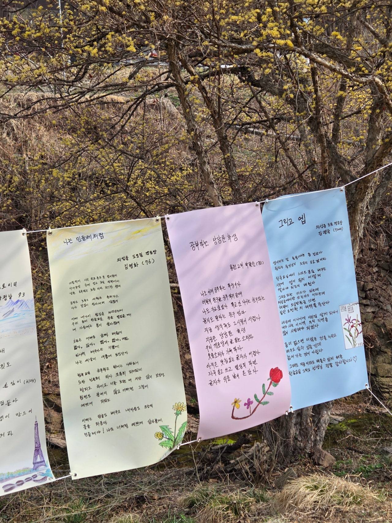 [산수유축제] 3월 벚꽃피기전 만끽할 수 있는 "의성 산수유 축제"