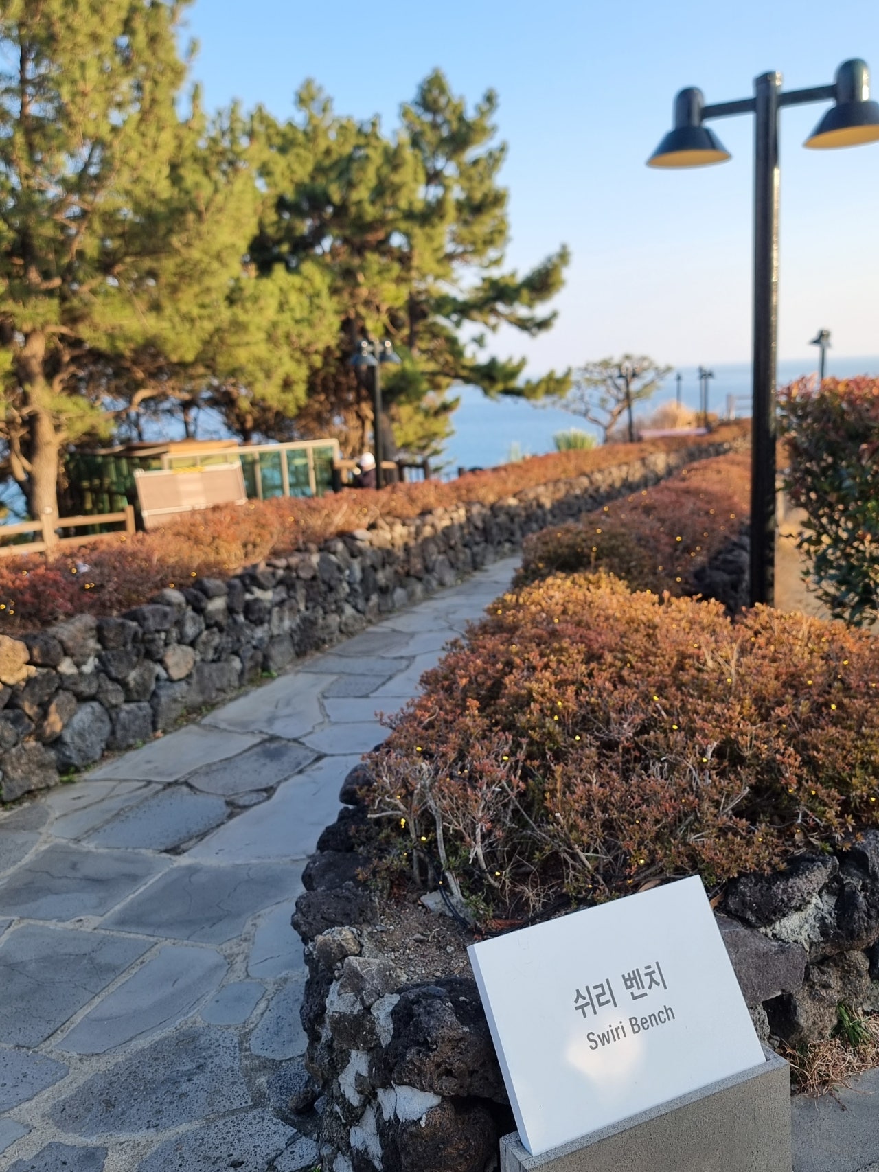 제주도에서 봄을만끽해야쥥 가성비호텔 에어시티호텔 이자카야 미묘, 어머니빵집, 이스방한상, 용두암,제주신라호텔 1.2일차