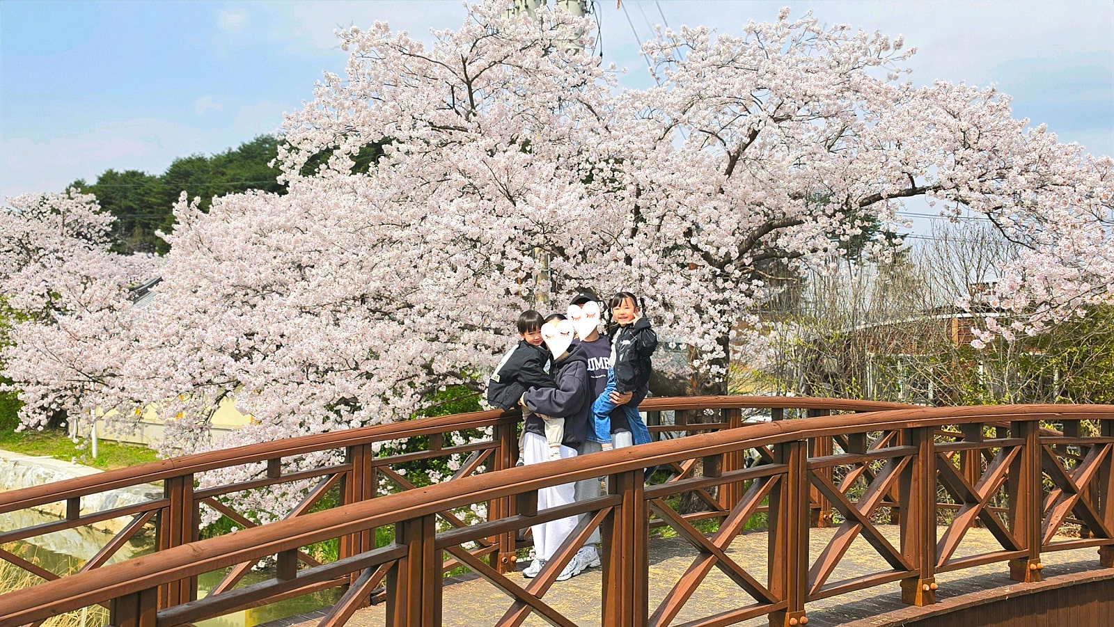 🌸[국내여행] [강릉] 스카이베이 호텔 경포 - 아이와 함께 즐긴 벚꽃축제 여행 후기 / (여기어때 국내여행 오픈런 예약 꿀팁 대공개!!)