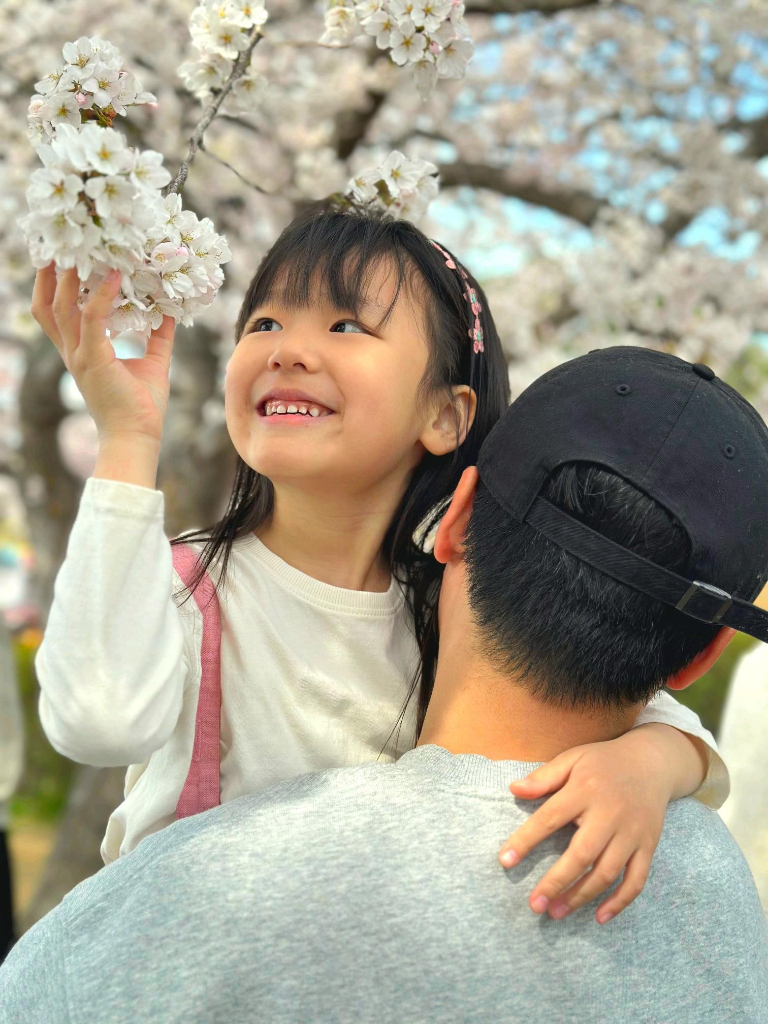 🌸[국내여행] [강릉] 스카이베이 호텔 경포 - 아이와 함께 즐긴 벚꽃축제 여행 후기 / (여기어때 국내여행 오픈런 예약 꿀팁 대공개!!)