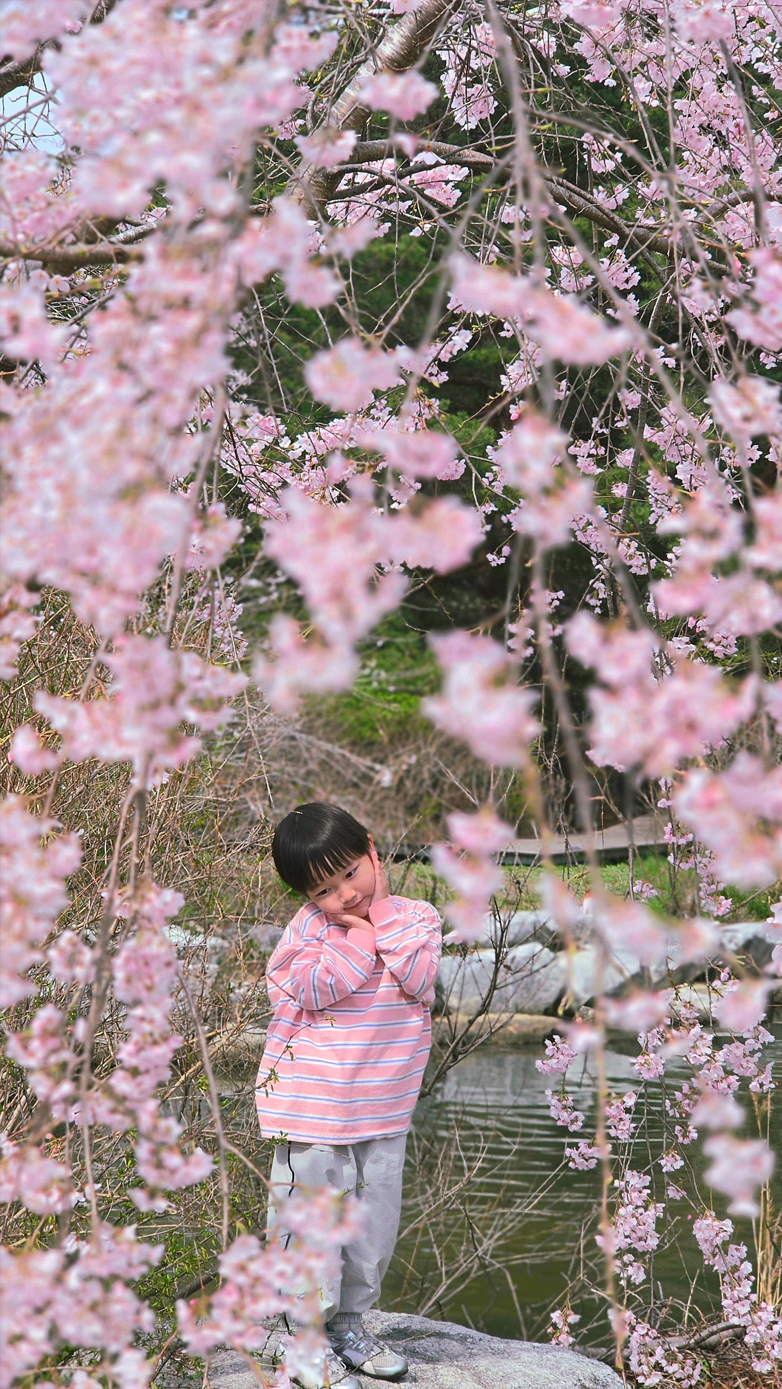 🌸[국내여행] [강릉] 스카이베이 호텔 경포 - 아이와 함께 즐긴 벚꽃축제 여행 후기 / (여기어때 국내여행 오픈런 예약 꿀팁 대공개!!)