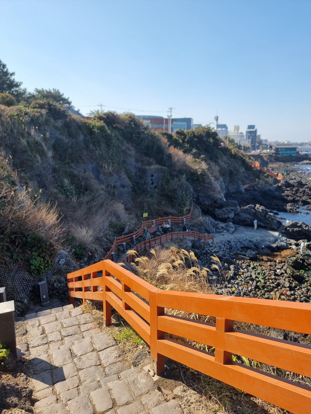 제주도에서 봄을만끽해야쥥 가성비호텔 에어시티호텔 이자카야 미묘, 어머니빵집, 이스방한상, 용두암,제주신라호텔 1.2일차
