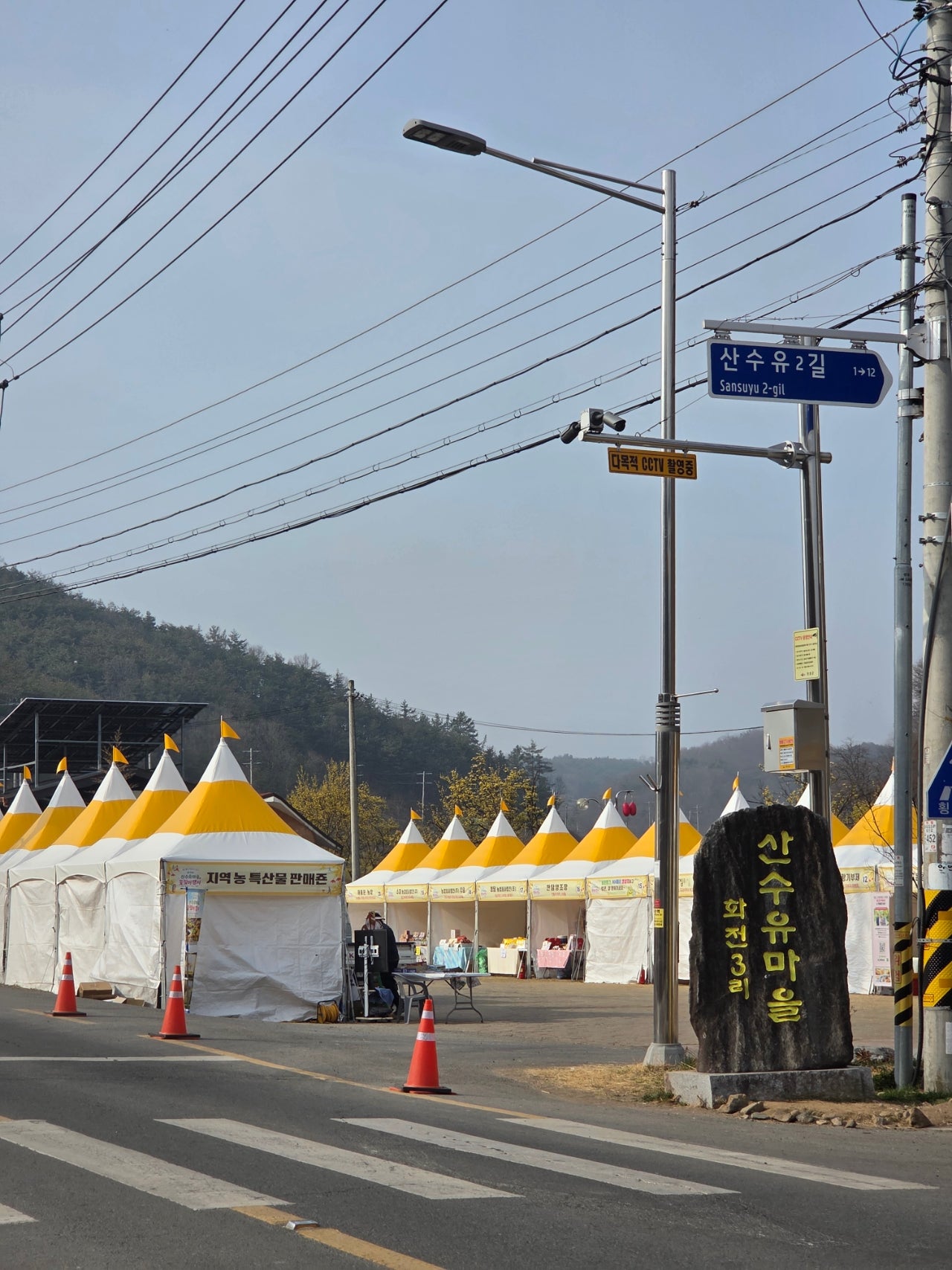 [산수유축제] 3월 벚꽃피기전 만끽할 수 있는 "의성 산수유 축제"