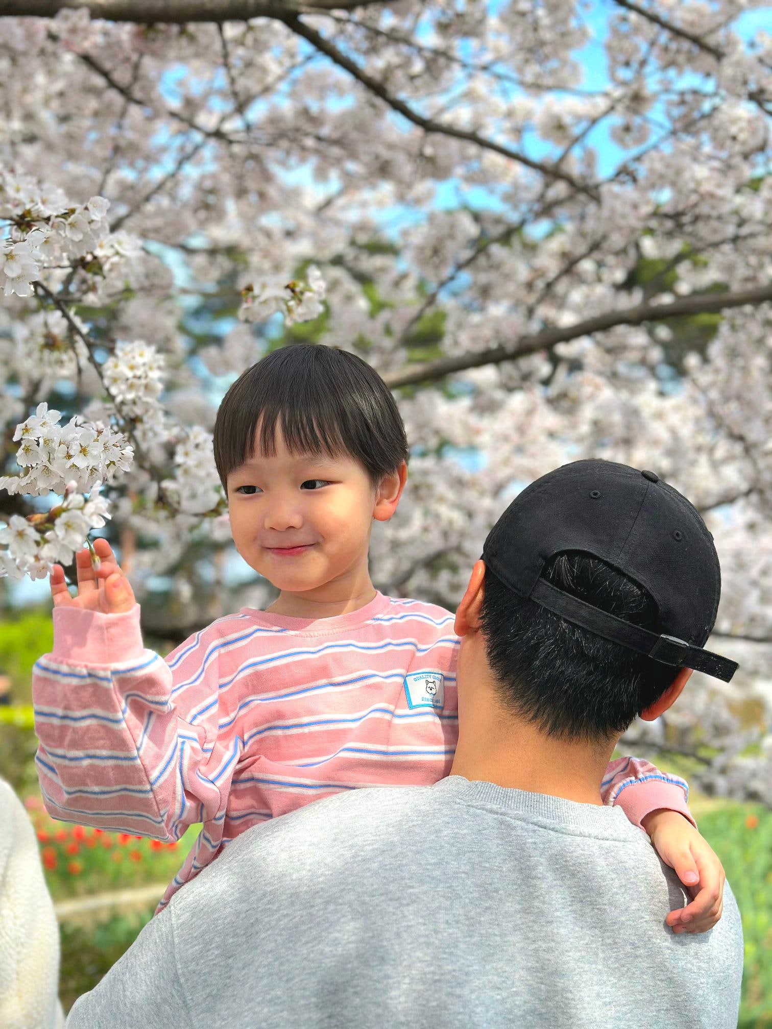 🌸[국내여행] [강릉] 스카이베이 호텔 경포 - 아이와 함께 즐긴 벚꽃축제 여행 후기 / (여기어때 국내여행 오픈런 예약 꿀팁 대공개!!)