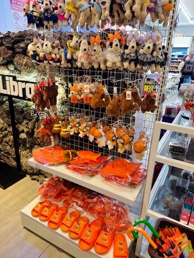 아기랑 제주신화월드 메리어트관 호텔, 수영장 이용후기