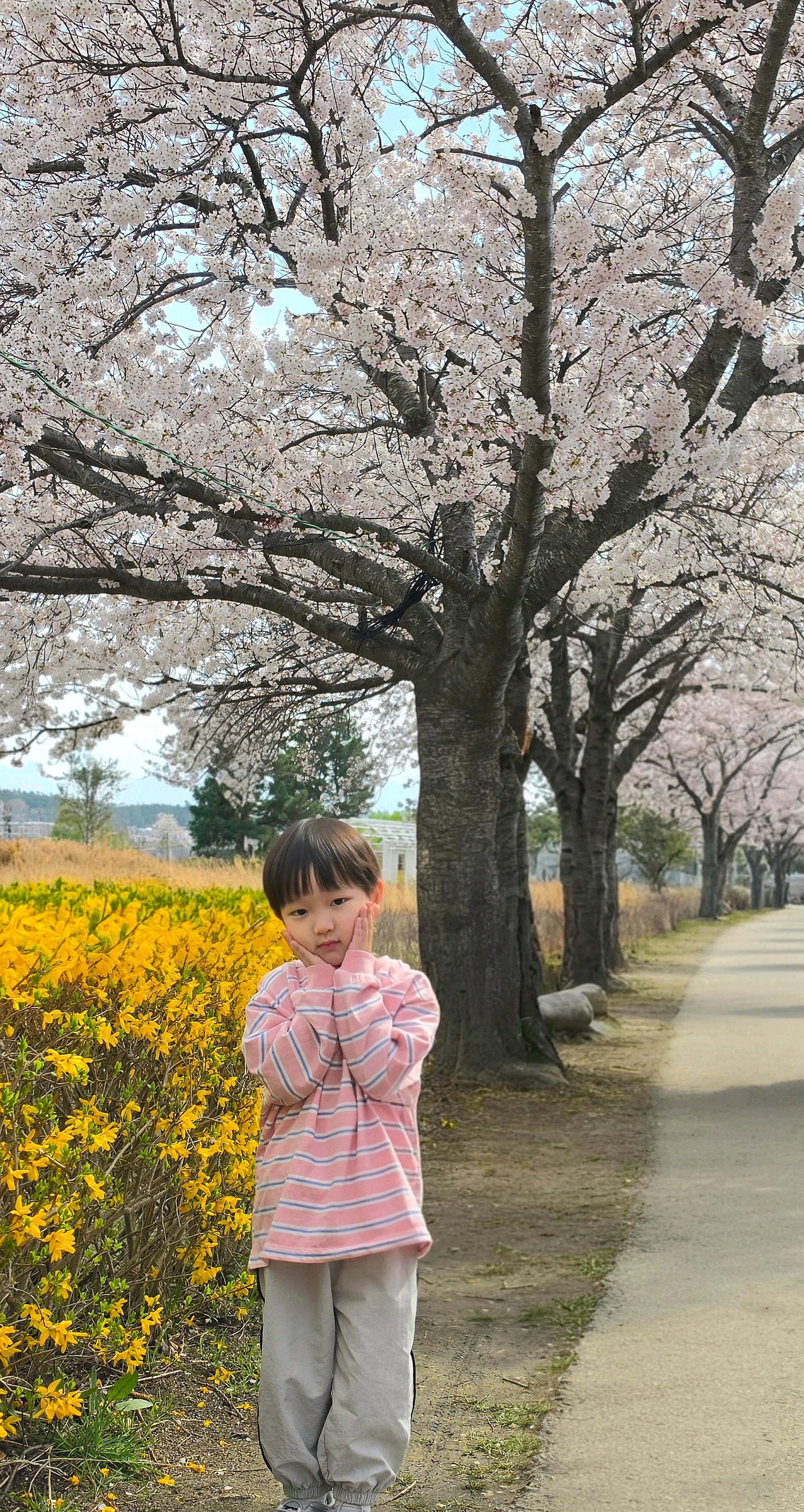 🌸[국내여행] [강릉] 스카이베이 호텔 경포 - 아이와 함께 즐긴 벚꽃축제 여행 후기 / (여기어때 국내여행 오픈런 예약 꿀팁 대공개!!)