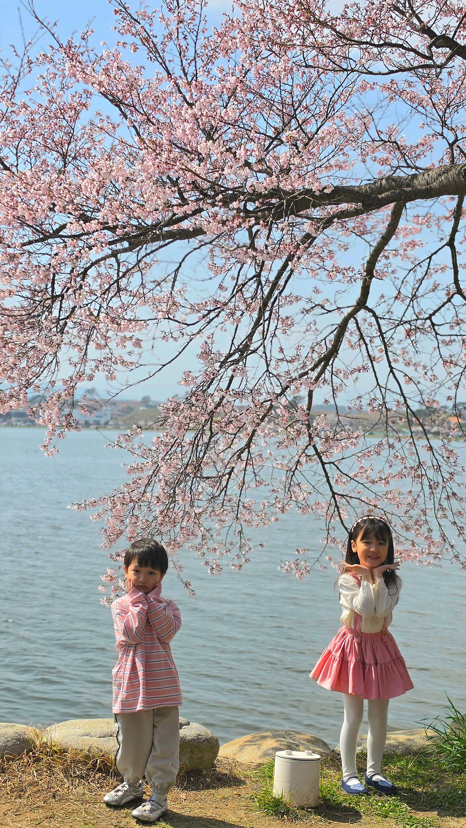 🌸[국내여행] [강릉] 스카이베이 호텔 경포 - 아이와 함께 즐긴 벚꽃축제 여행 후기 / (여기어때 국내여행 오픈런 예약 꿀팁 대공개!!)