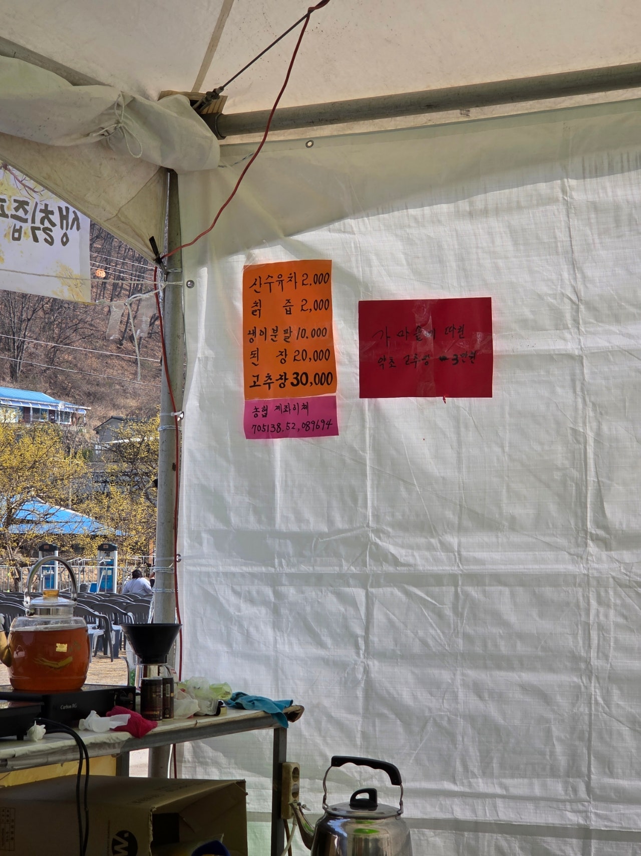 [산수유축제] 3월 벚꽃피기전 만끽할 수 있는 "의성 산수유 축제"