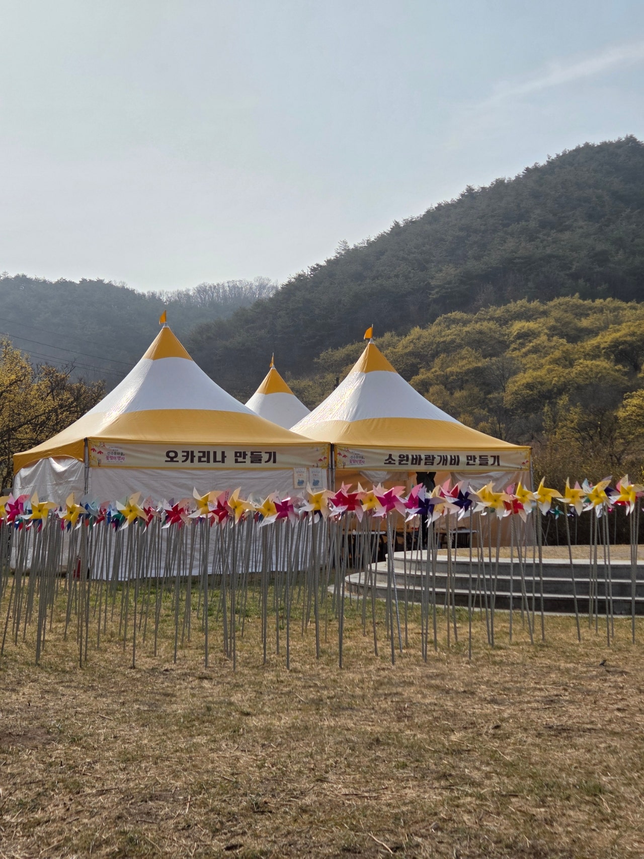 [산수유축제] 3월 벚꽃피기전 만끽할 수 있는 "의성 산수유 축제"