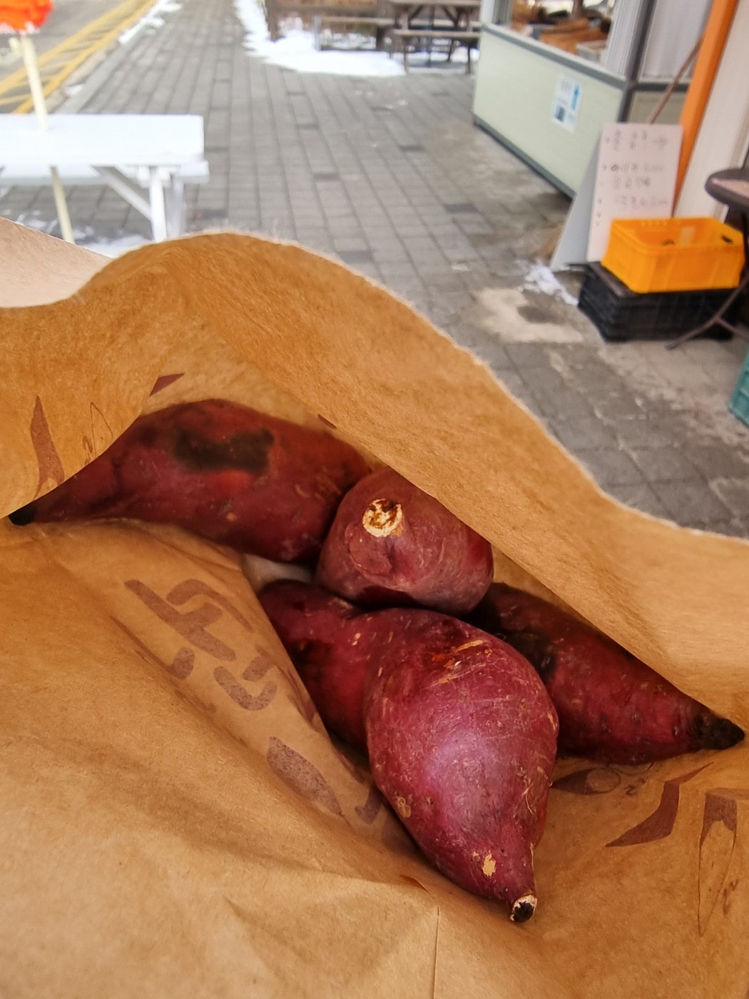 홍천맛집 신토불이들려서 인제 스피디움 실내서킷장에서 놀고 스파하고 인제 자작나무숲보고 막국수까지 종합적으로 쉬다왔어요
