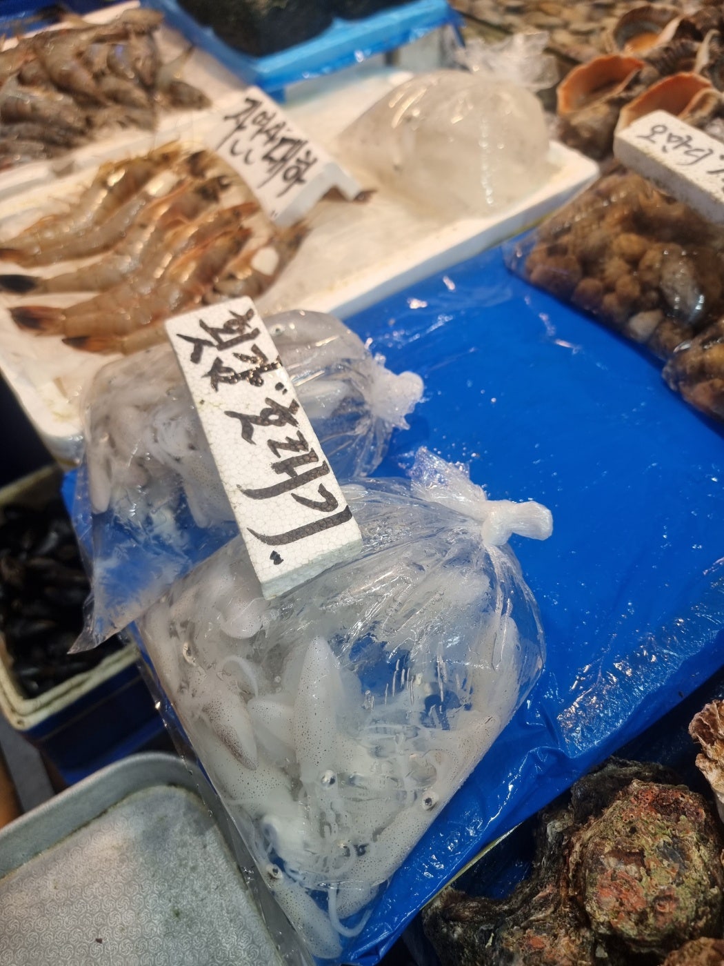 홍천맛집 신토불이들려서 인제 스피디움 실내서킷장에서 놀고 스파하고 인제 자작나무숲보고 막국수까지 종합적으로 쉬다왔어요