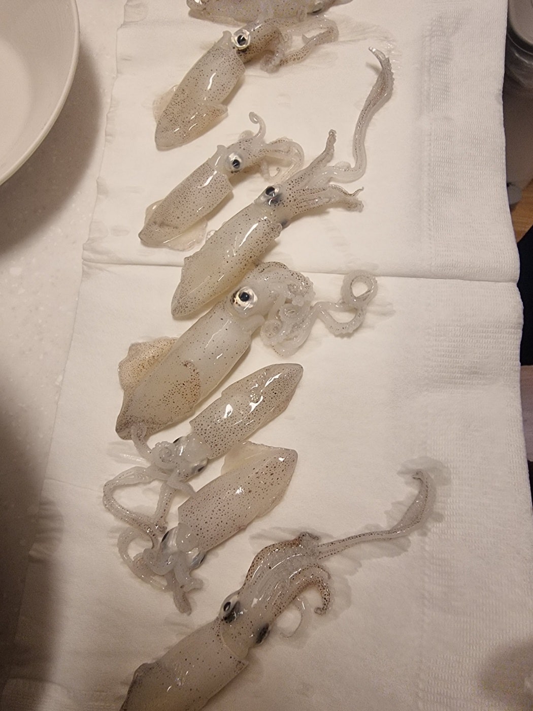 홍천맛집 신토불이들려서 인제 스피디움 실내서킷장에서 놀고 스파하고 인제 자작나무숲보고 막국수까지 종합적으로 쉬다왔어요