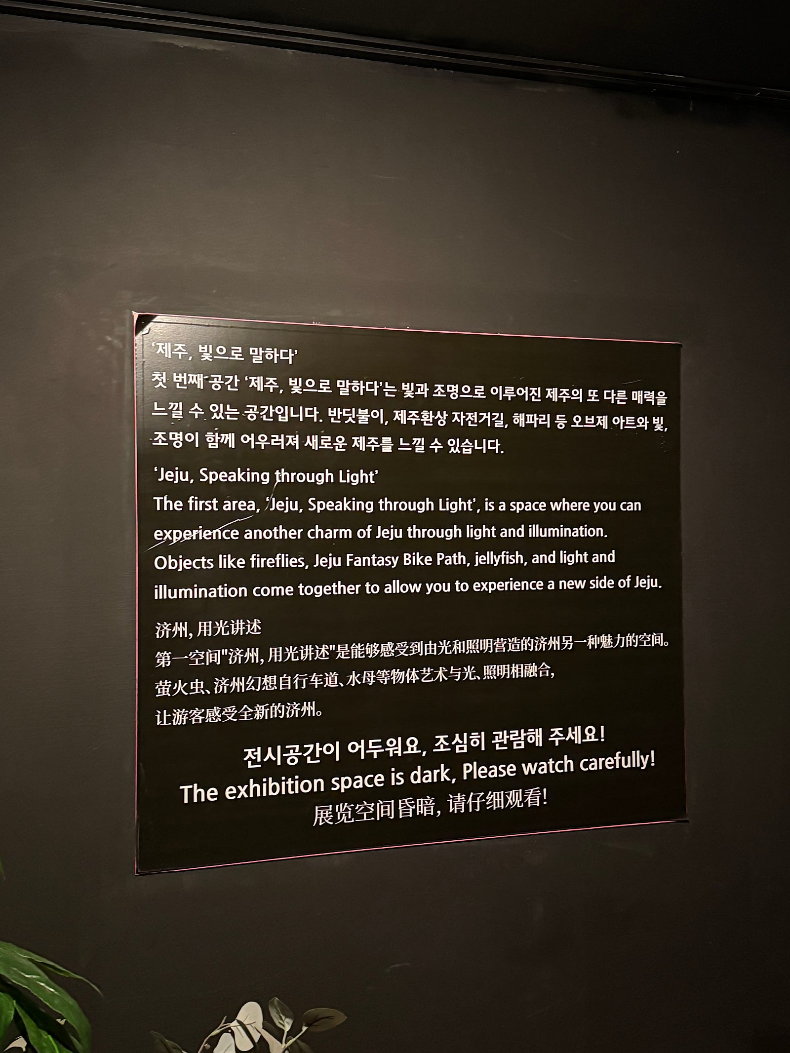 🌴🐳먹고 쉬러 떠난 겨울 제주여행일기(+제주 가볼만한곳 대방출!!)🐳🌴[1~2일차]