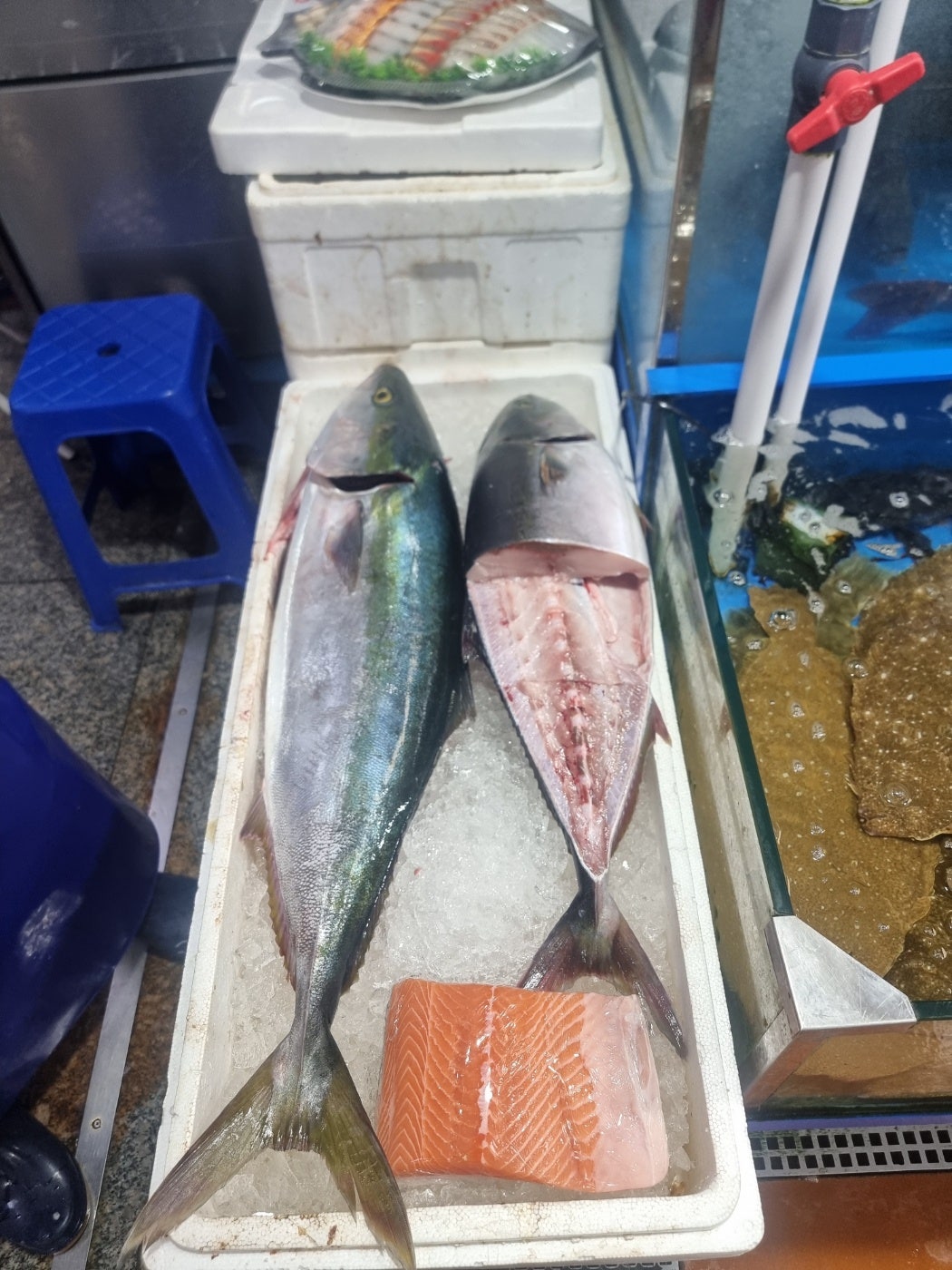 홍천맛집 신토불이들려서 인제 스피디움 실내서킷장에서 놀고 스파하고 인제 자작나무숲보고 막국수까지 종합적으로 쉬다왔어요