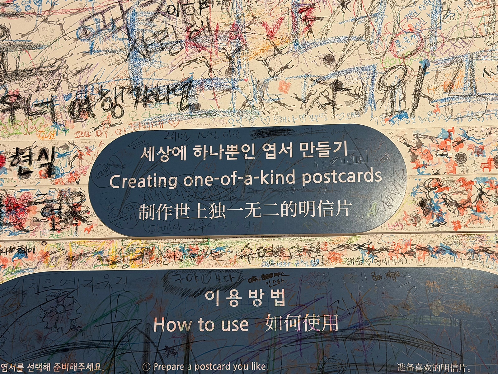 🌴🐳먹고 쉬러 떠난 겨울 제주여행일기(+제주 가볼만한곳 대방출!!)🐳🌴[1~2일차]