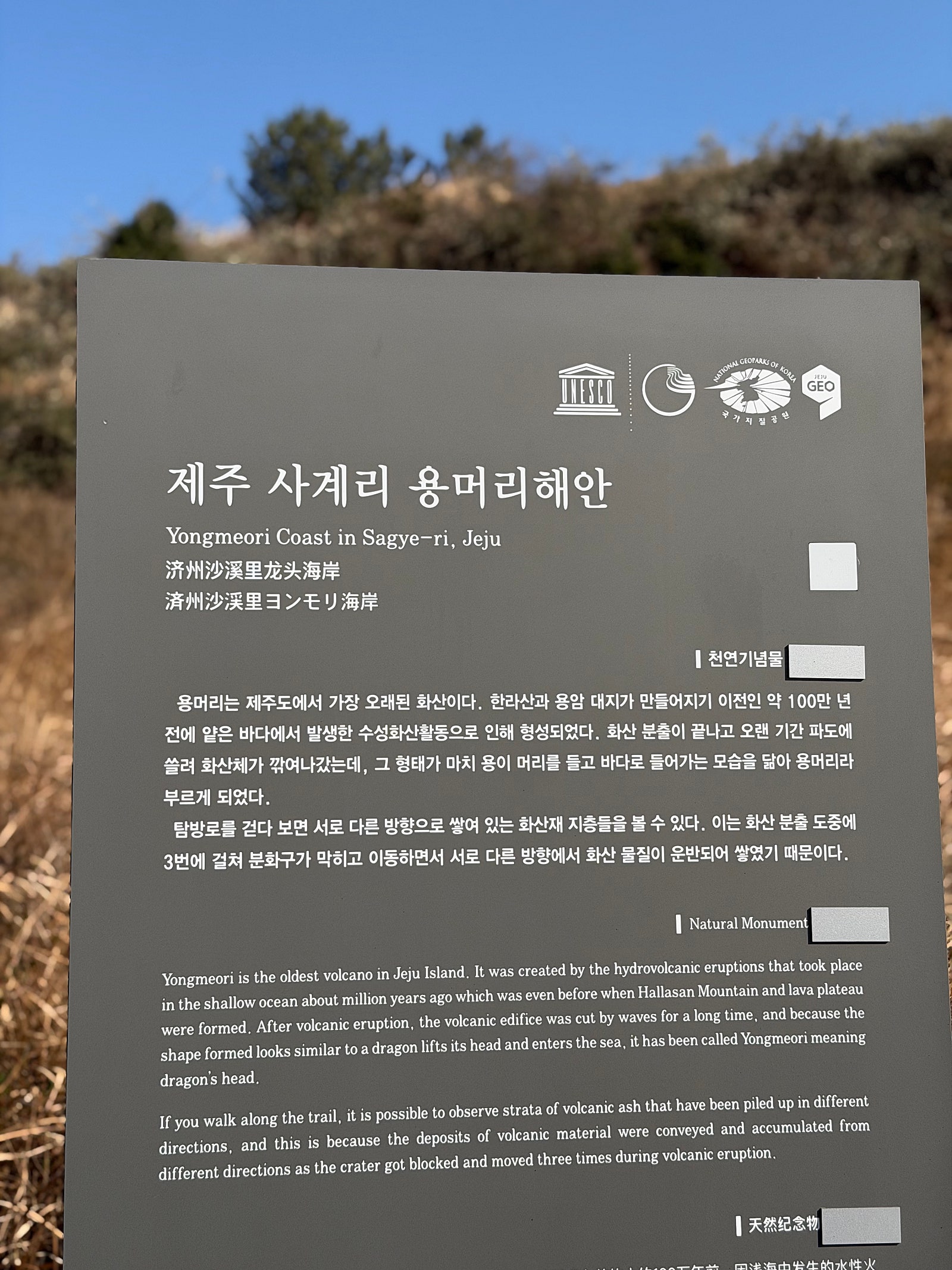 🌴🐳먹고 쉬러 떠난 겨울 제주여행일기(+제주 가볼만한곳 대방출!!)🐳🌴[1~2일차]