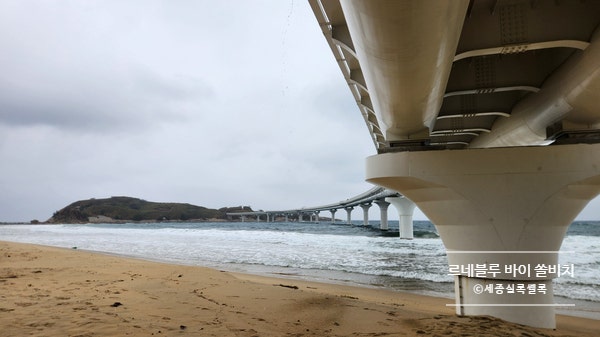 3월 강원도 고성 르네블루 바이 쏠비치 (2박3일)