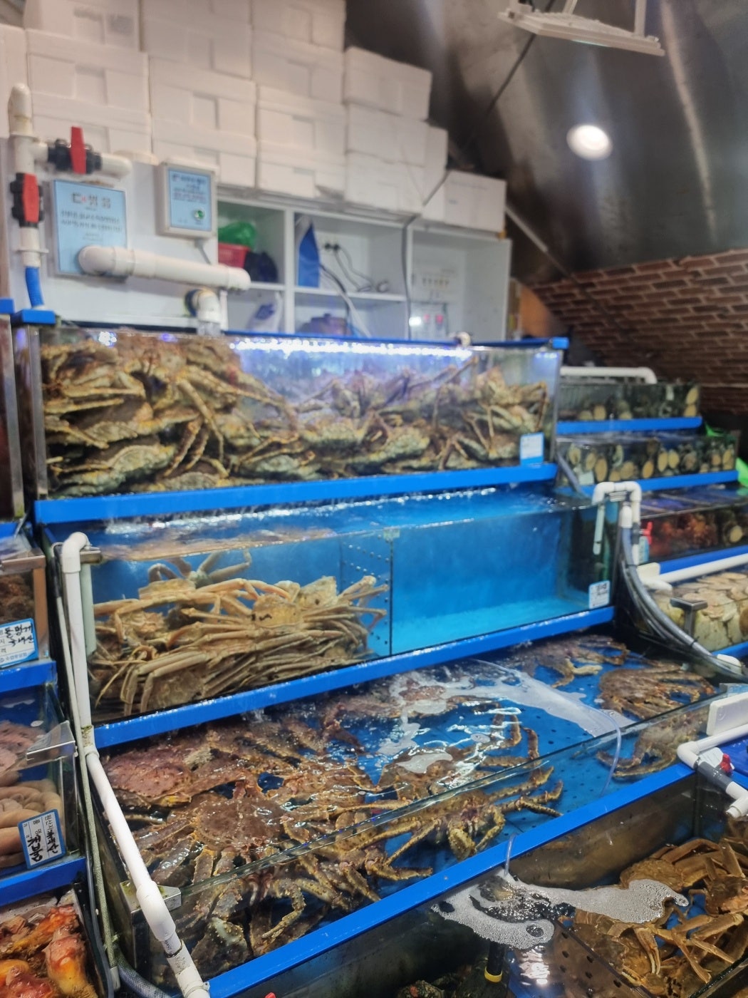 홍천맛집 신토불이들려서 인제 스피디움 실내서킷장에서 놀고 스파하고 인제 자작나무숲보고 막국수까지 종합적으로 쉬다왔어요