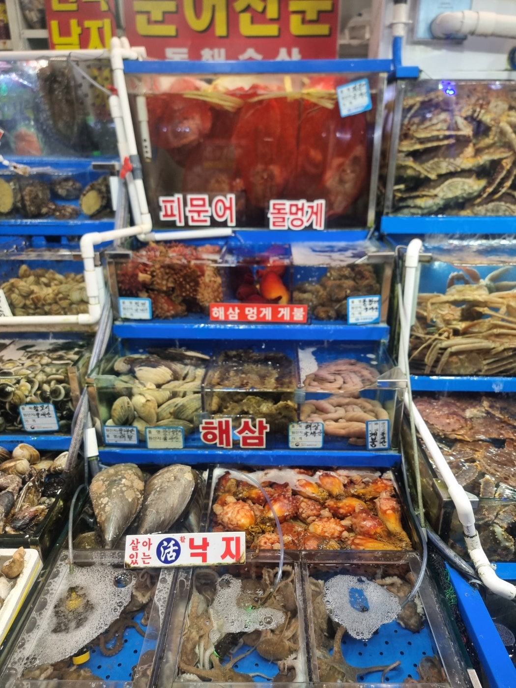 홍천맛집 신토불이들려서 인제 스피디움 실내서킷장에서 놀고 스파하고 인제 자작나무숲보고 막국수까지 종합적으로 쉬다왔어요