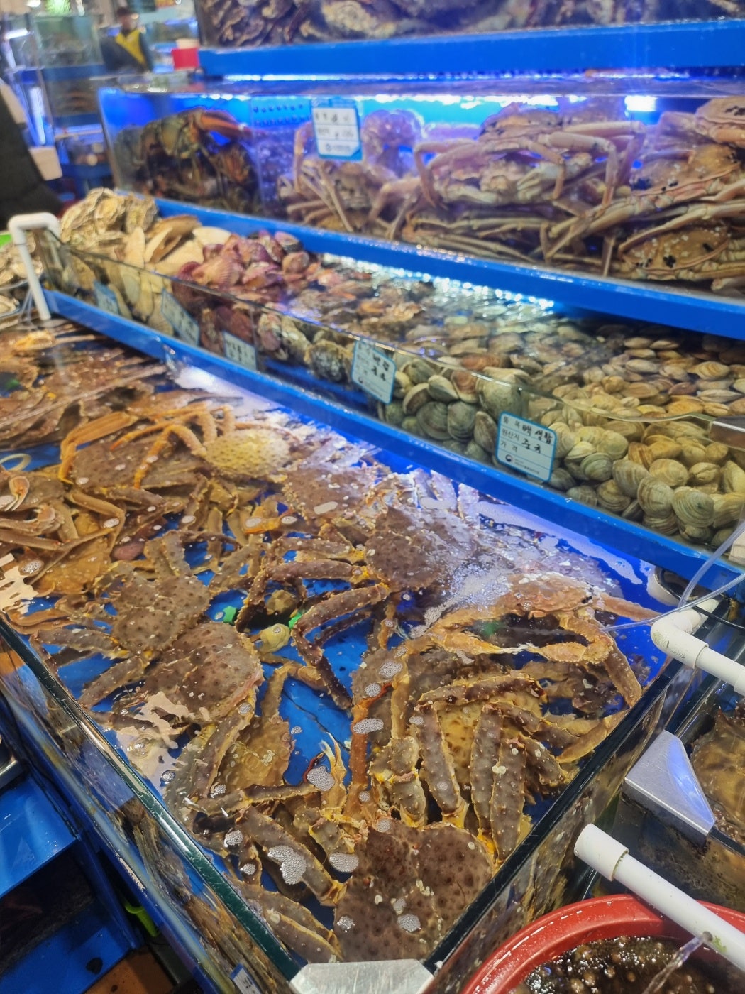 홍천맛집 신토불이들려서 인제 스피디움 실내서킷장에서 놀고 스파하고 인제 자작나무숲보고 막국수까지 종합적으로 쉬다왔어요