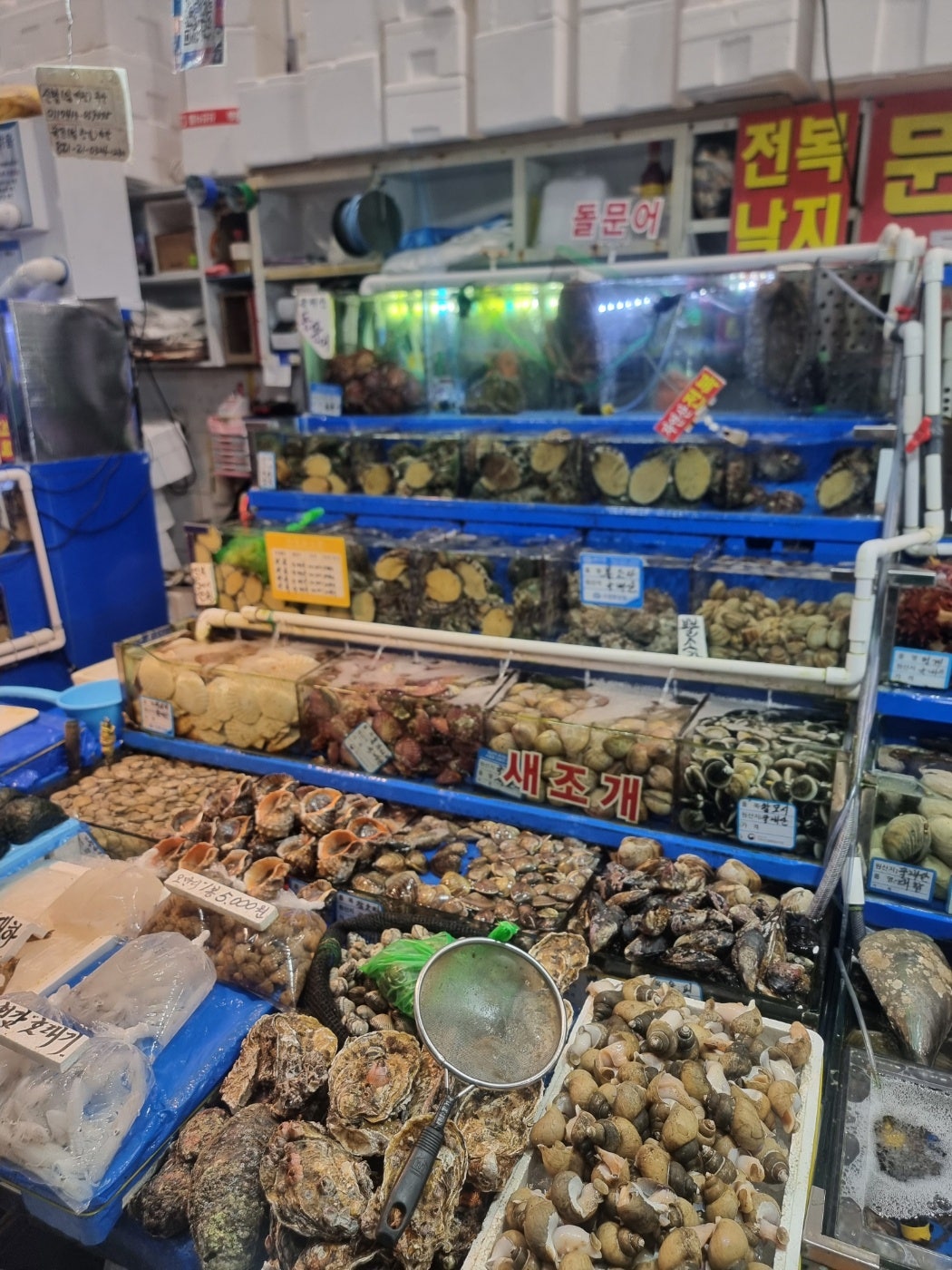 홍천맛집 신토불이들려서 인제 스피디움 실내서킷장에서 놀고 스파하고 인제 자작나무숲보고 막국수까지 종합적으로 쉬다왔어요